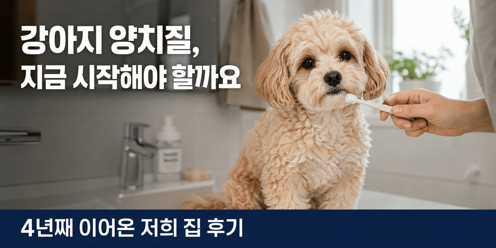 강아지 양치질을 위해 소형견 전용 칫솔을 준비하는 모습