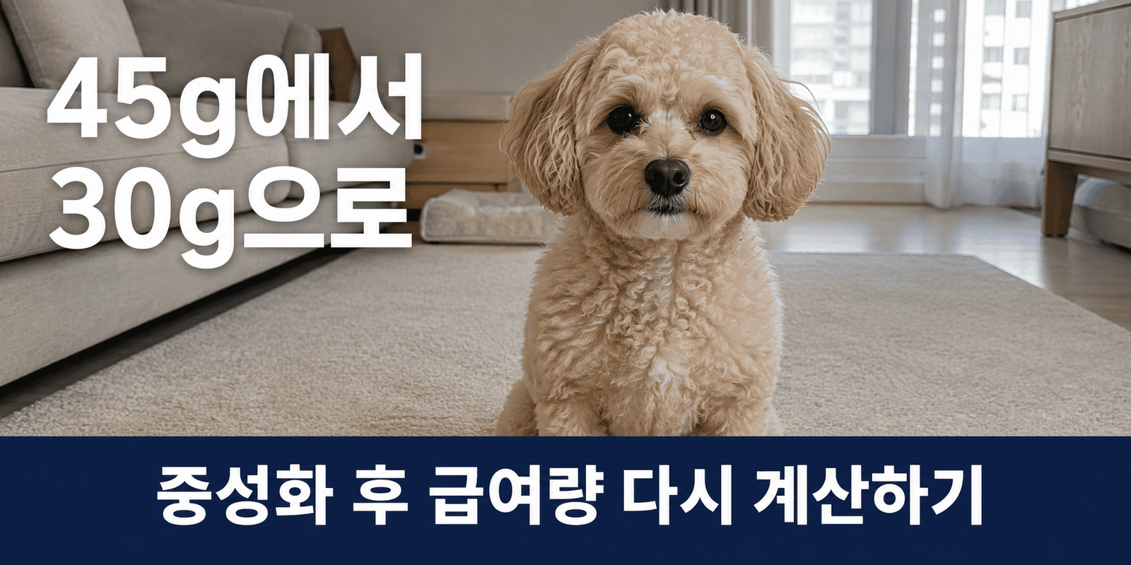 강아지 중성화 후 체중 증가 관리를 다룬 대표 이미지