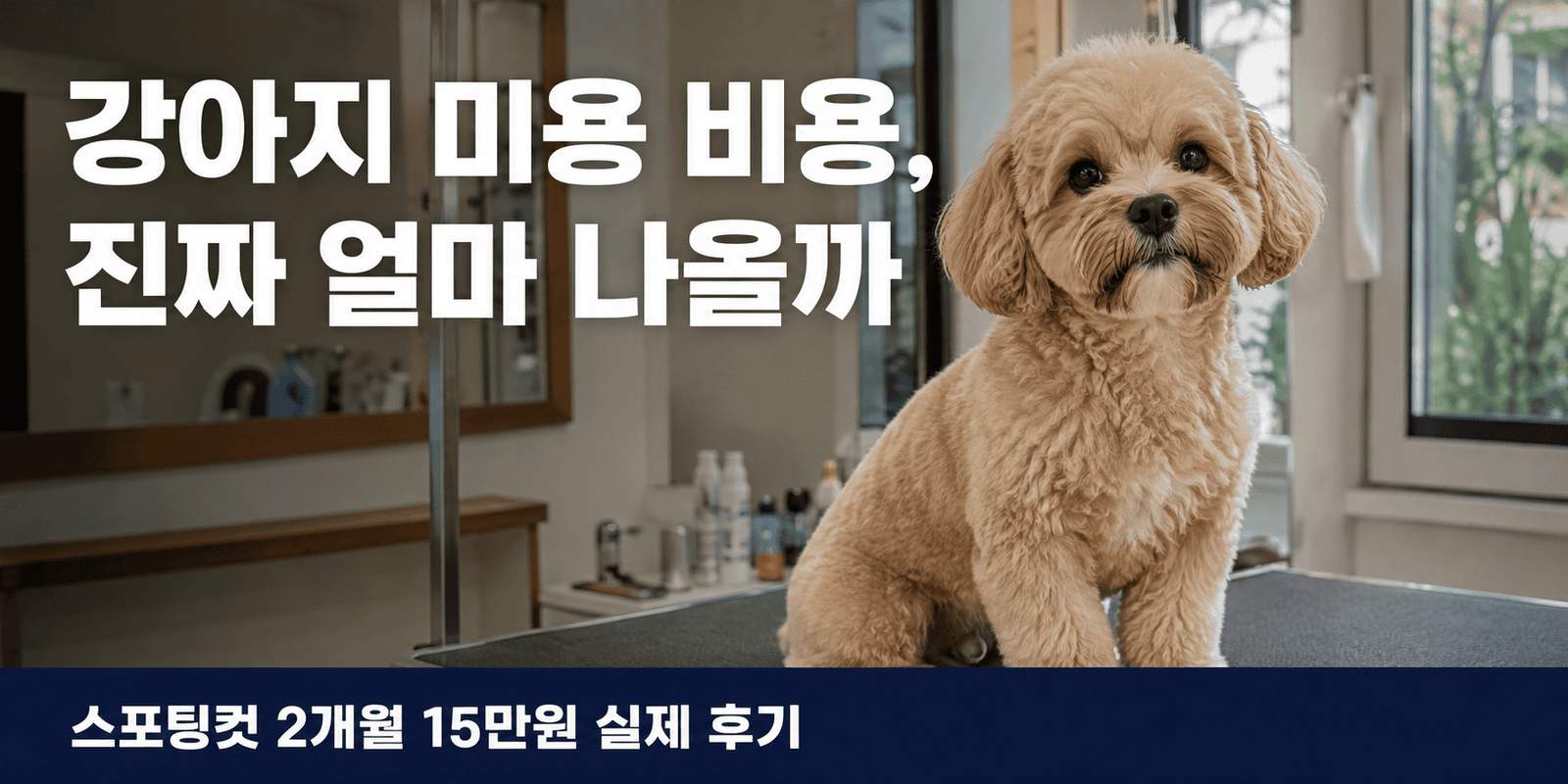강아지 미용 비용을 다룬 스포팅컷 전체미용 후 쿠니의 모