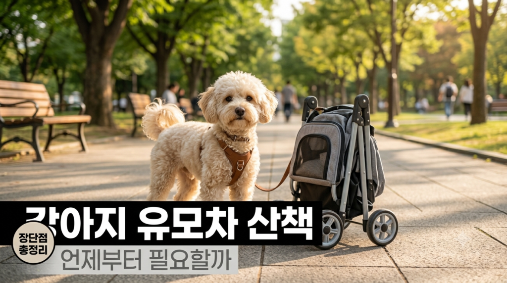 강아지 유모차 산책, 처음엔 저도 "굳이 그렇게까지 해야 하나" 싶었어요. 그런데 쿠니가 같은 코스만 반복하는 산책을 지루해하는 것 같아서, 반신반의하며 하나 사봤습니다. 막상 써보니 생각했던 것과는 다른 지점들이 있어서, 실제로 언제 필요한지 정리해봤어요.
