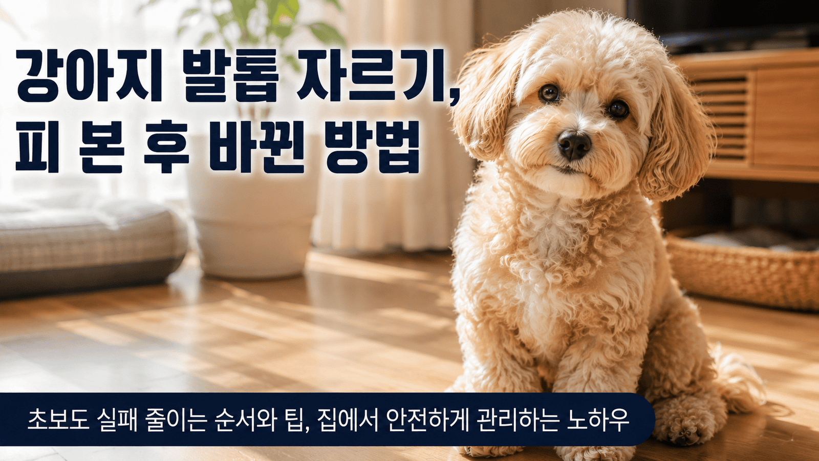 강아지 발톱 정리 썸네일