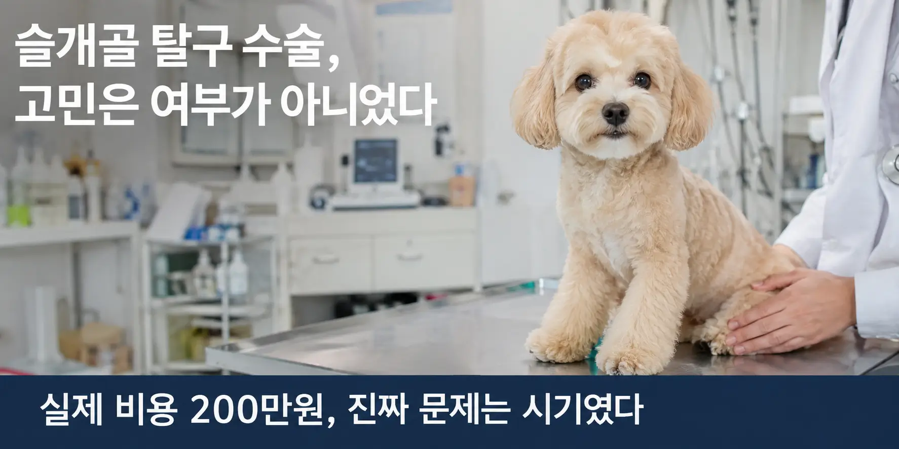 강아지 슬개골 탈구 수술비용 상담받는 동물병원 진료대 위의 크림색 말티푸