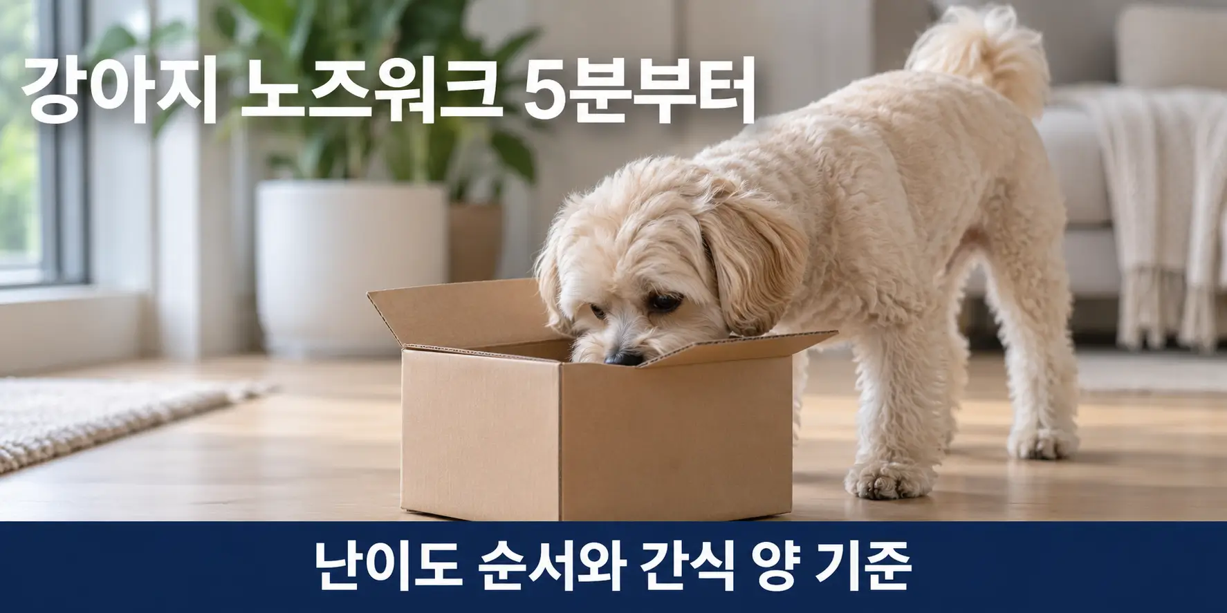 종이상자에 코를 넣고 간식을 찾는 강아지 노즈워크