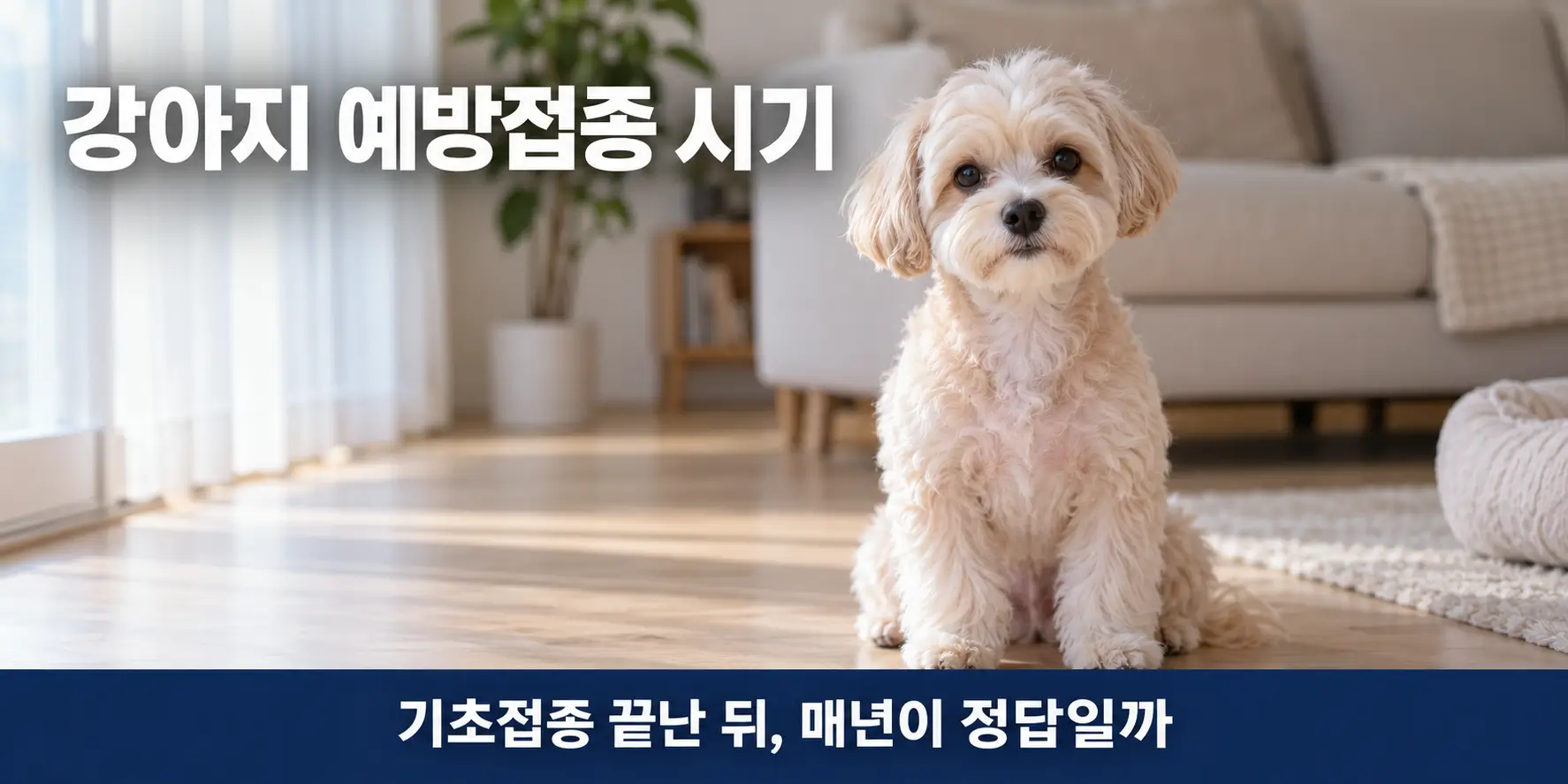 강아지 예방접종 시기 기초접종 후 성견 추가접종을 고민하는 말티푸 쿠니