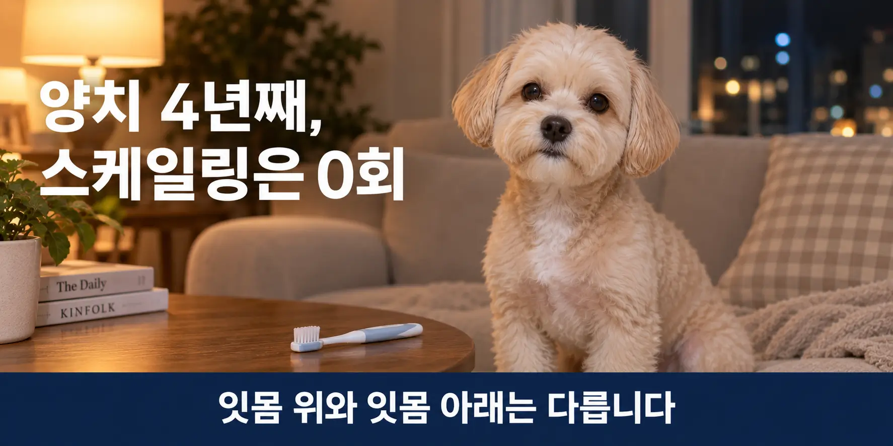 강아지 스케일링을 아직 하지 않은 말티푸 쿠니가 칫솔 옆에 앉아 있는 모습