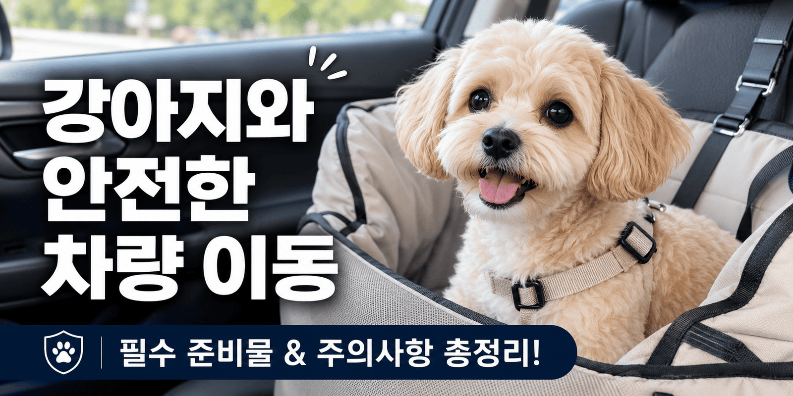 강아지 차멀미 원인을 구분하기 위해 카시트에 앉아 헥헥거리는 크림색 말티푸