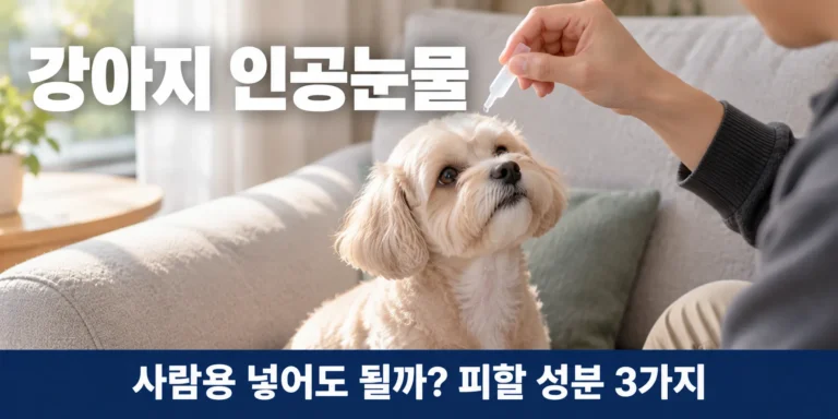 강아지 인공눈물, 사람용을 넣기 전에 확인할 성분 3가지
