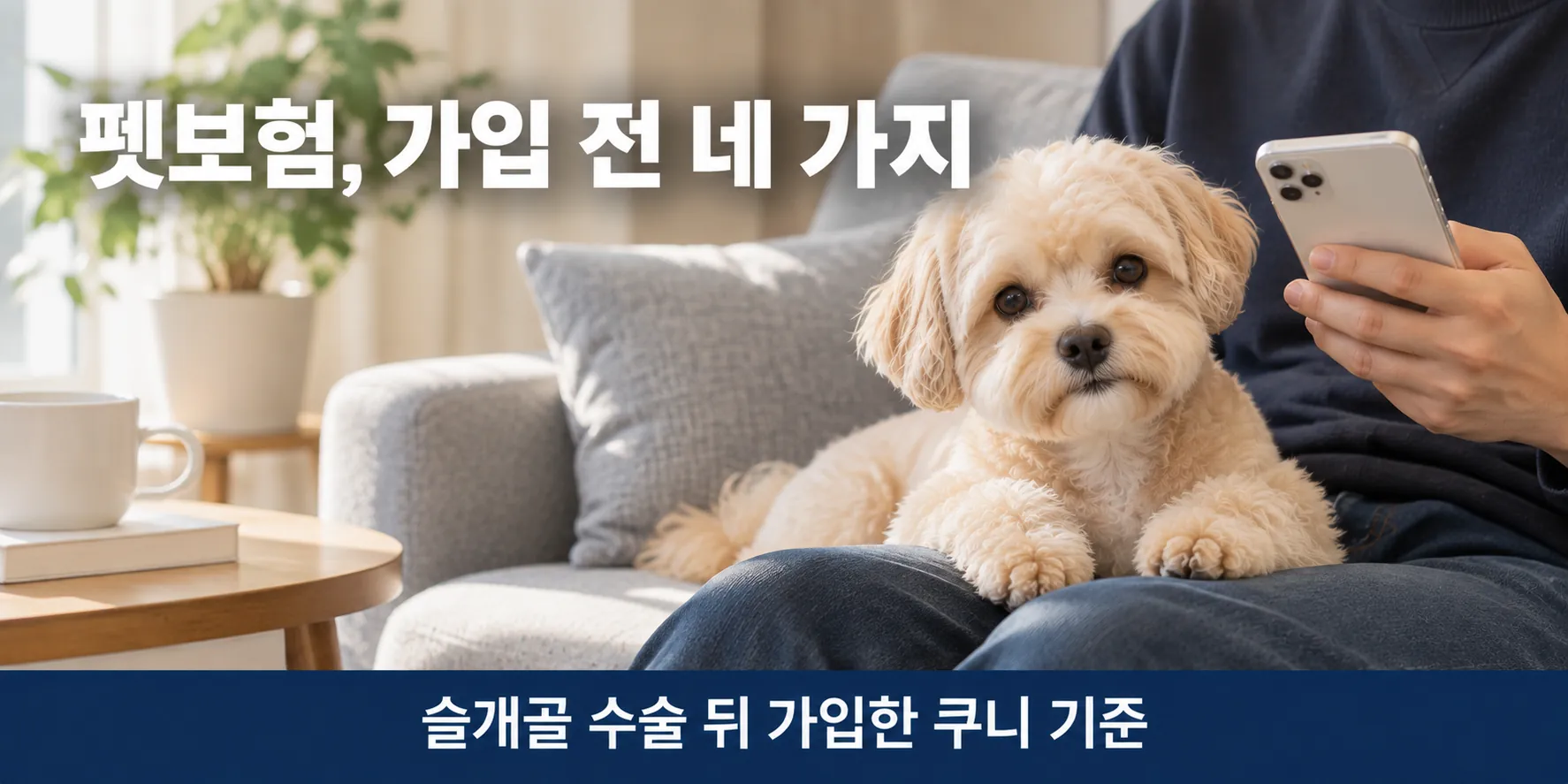 펫보험 가입을 알아보는 보호자 무릎 위 말티푸