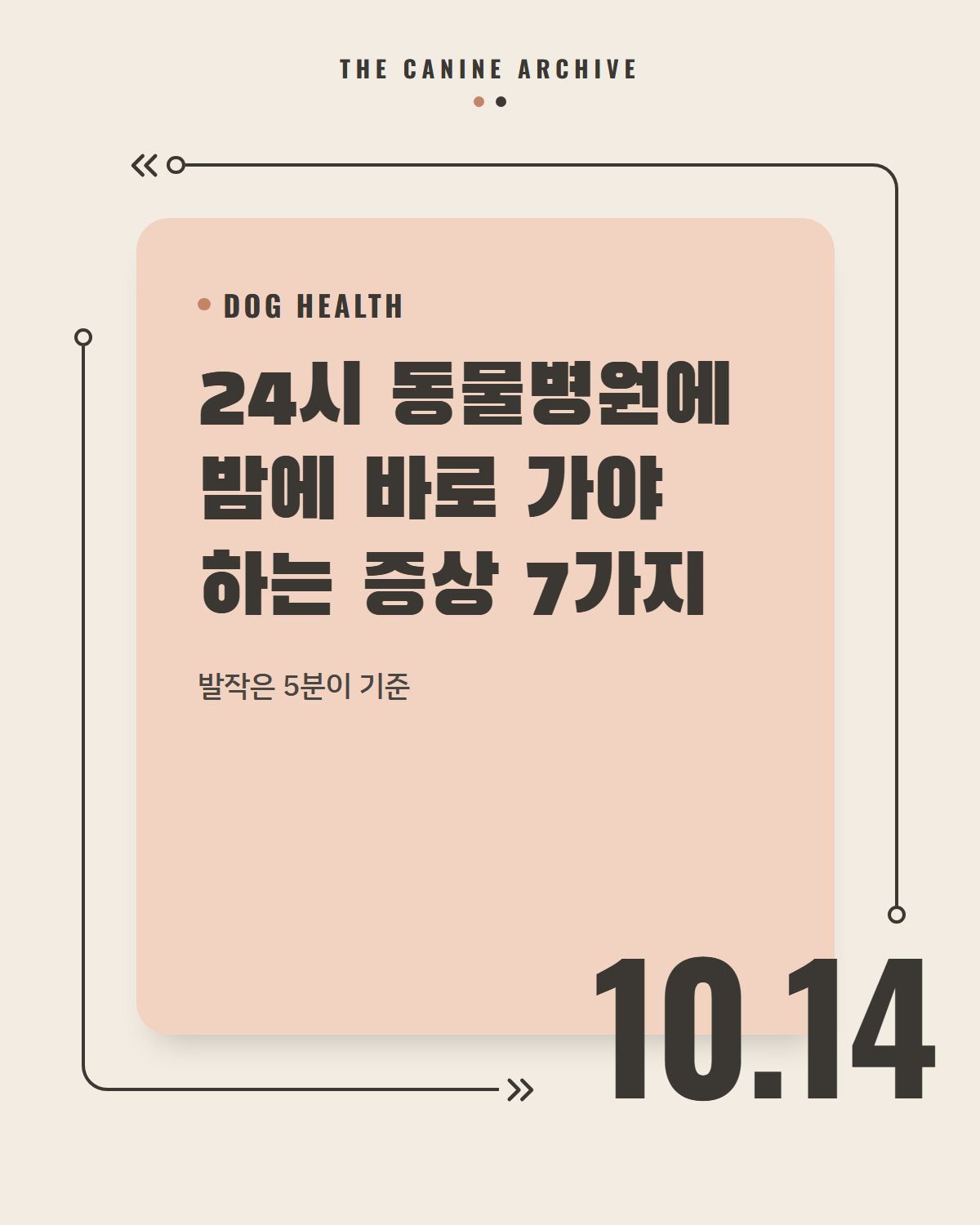24시 동물병원에 밤에 바로 가야 하는 증상 7가지, 발작은 5분이 기준