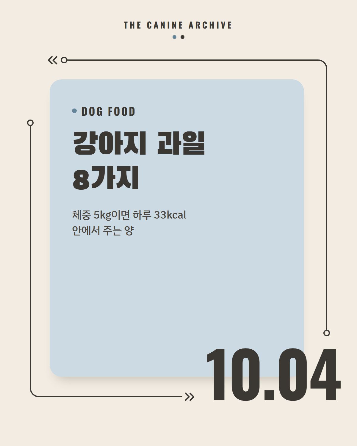 강아지 과일 8가지, 체중 5kg이면 하루 33kcal 안에서 주는 양