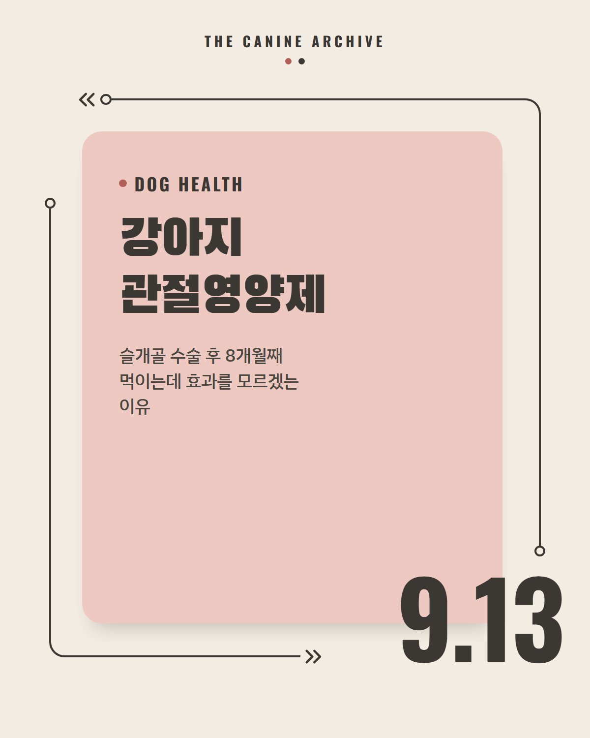 강아지 관절영양제, 슬개골 수술 후 8개월째 먹이는데 효과를 모르겠는 이유
