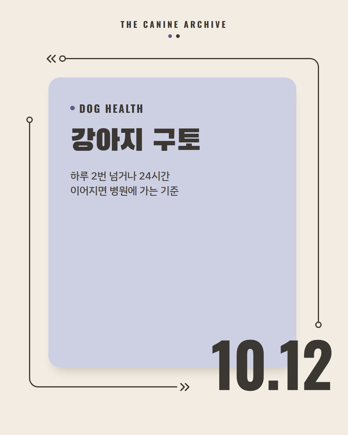 강아지 구토, 하루 2번 넘거나 24시간 이어지면 병원에 가는 기준