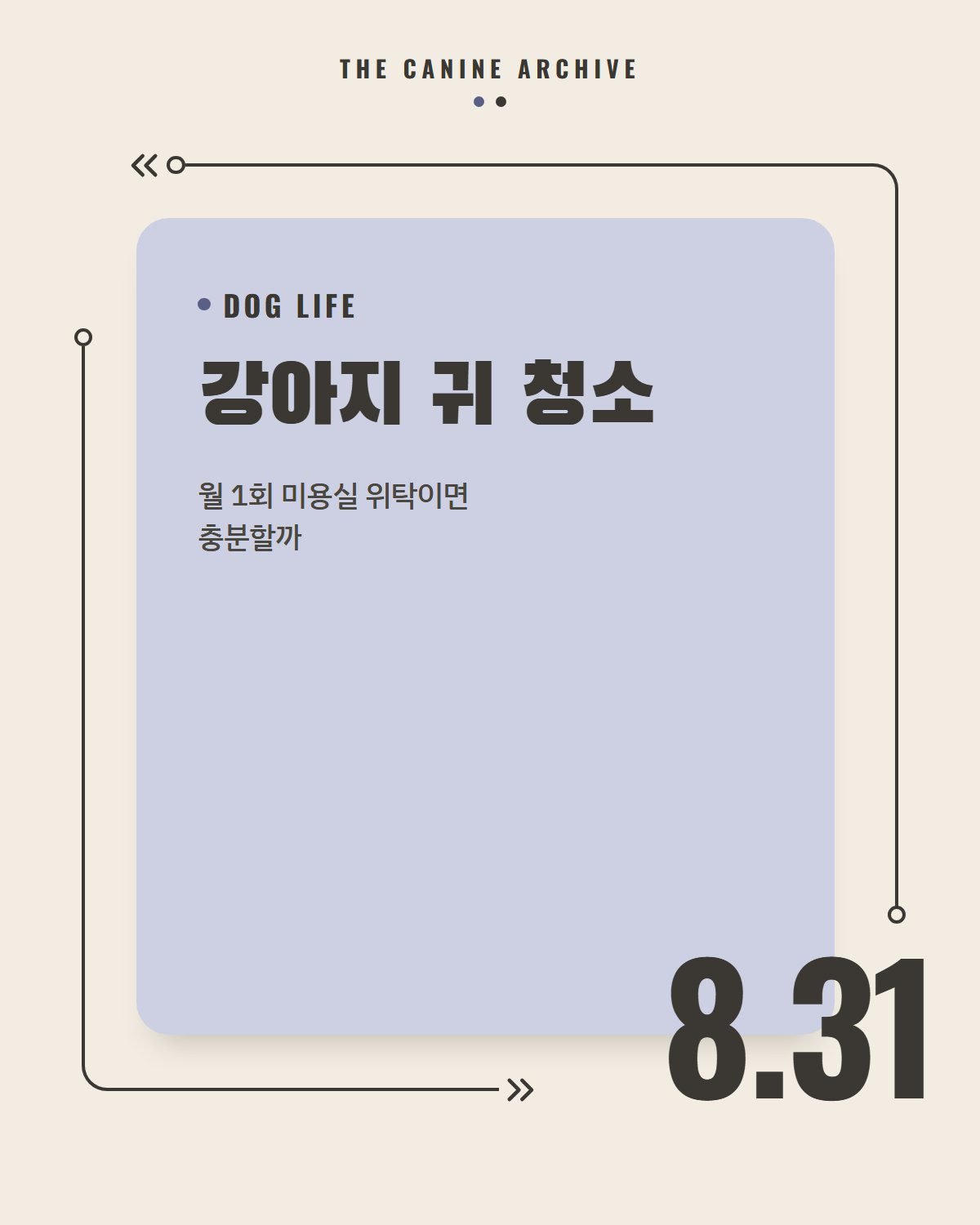 강아지 귀 청소, 월 1회 미용실 위탁이면 충분할까
