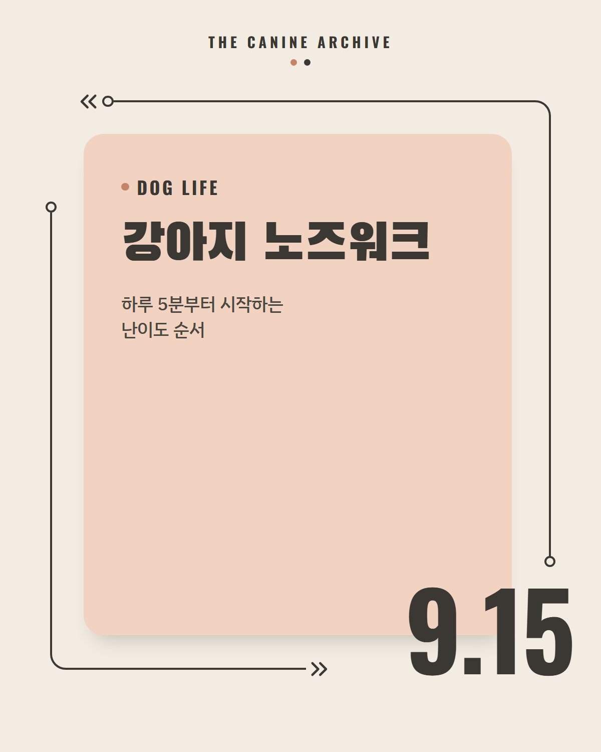 강아지 노즈워크, 하루 5분부터 시작하는 난이도 순서
