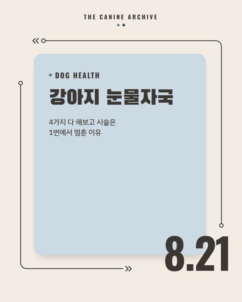 강아지 눈물자국, 4가지 다 해보고 시술은 1번에서 멈춘 이유