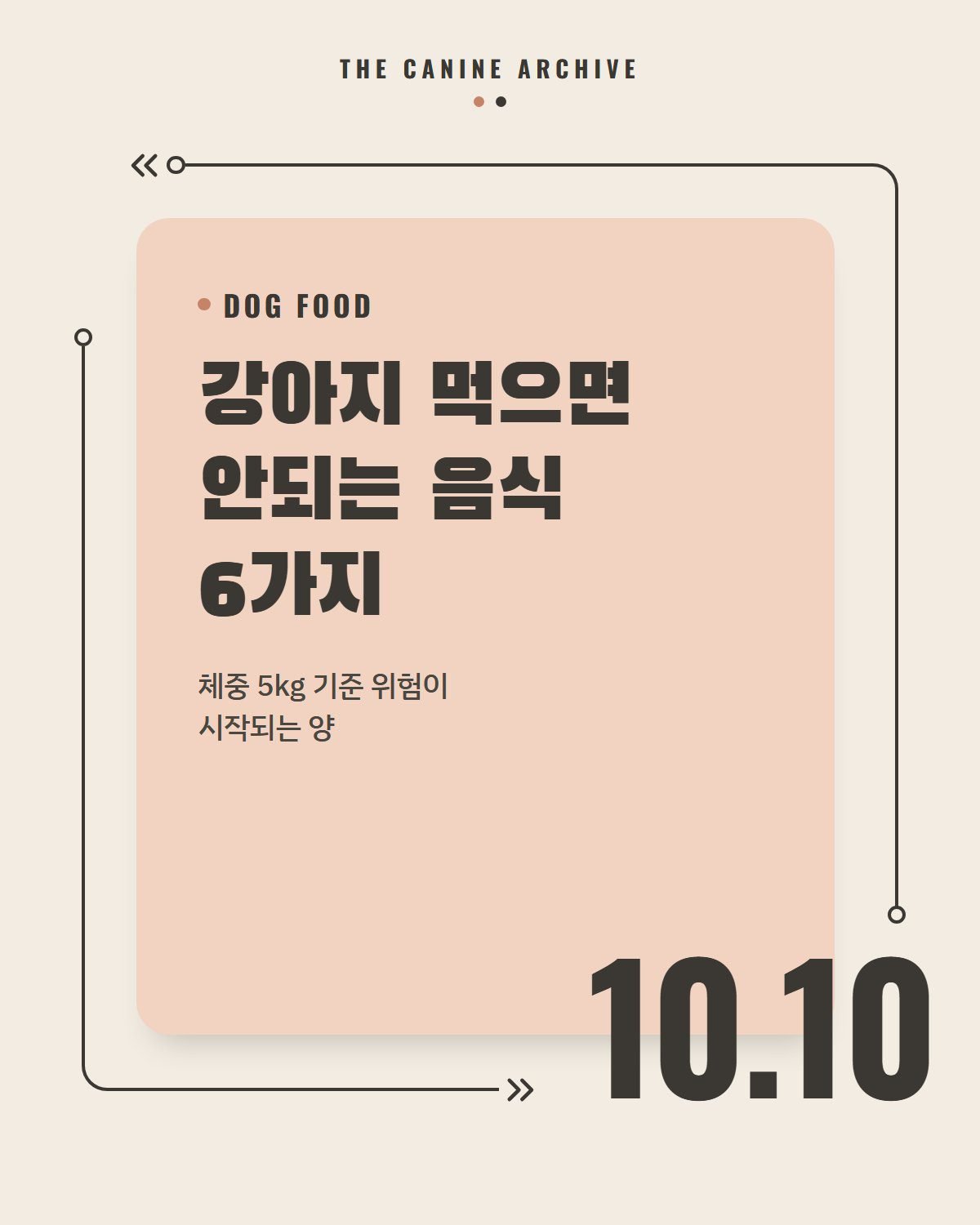 강아지 먹으면 안되는 음식 6가지, 체중 5kg 기준 위험이 시작되는 양
