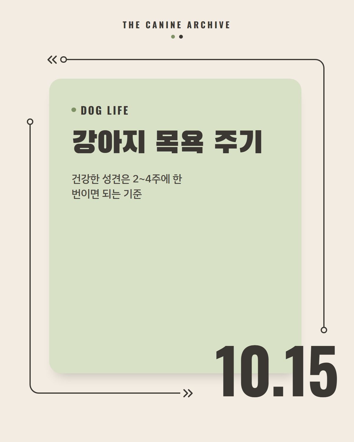 강아지 목욕 주기, 건강한 성견은 2~4주에 한 번이면 되는 기준