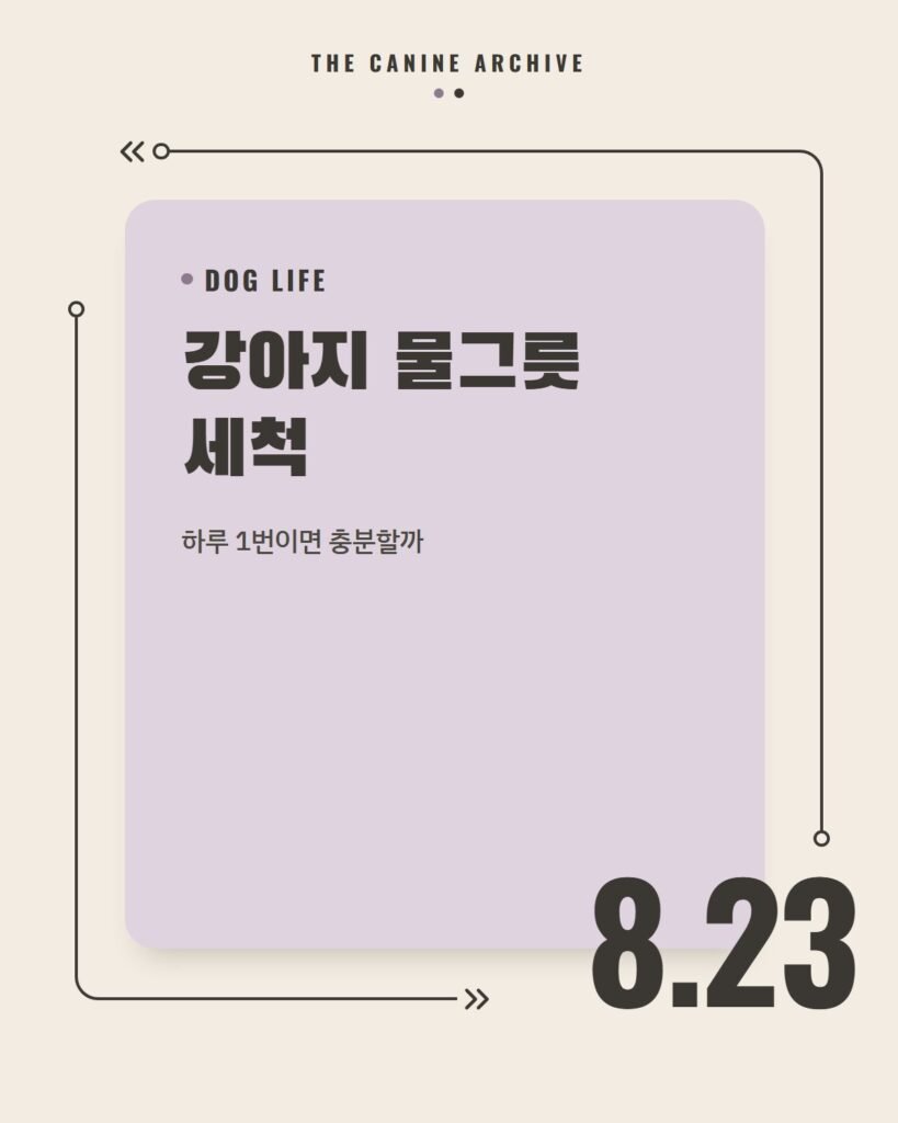 강아지 물그릇 세척, 하루 1번이면 충분할까