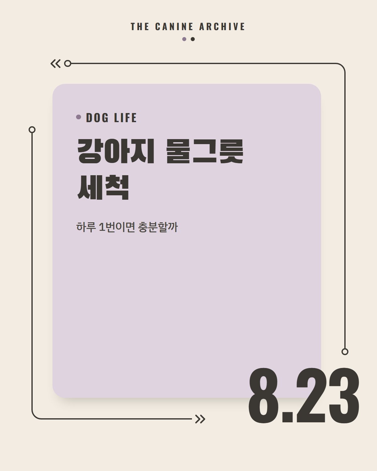 강아지 물그릇 세척, 하루 1번이면 충분할까