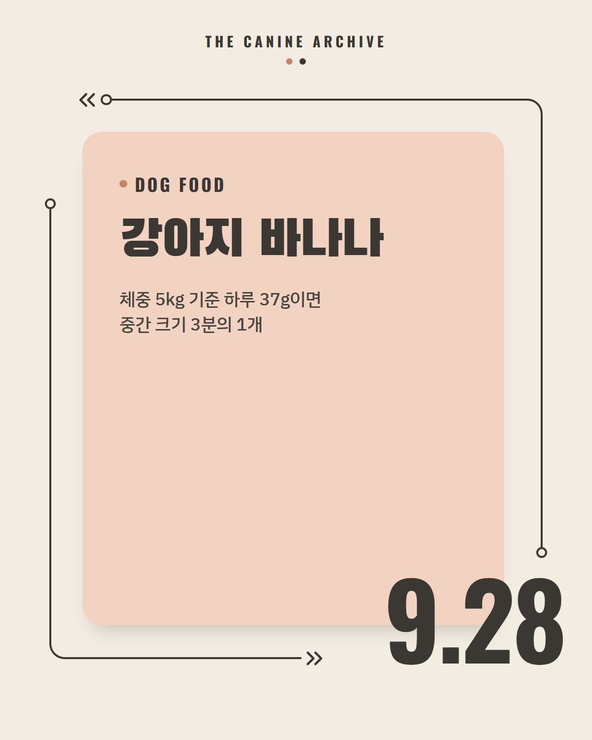 강아지 바나나, 체중 5kg 기준 하루 37g이면 중간 크기 3분의 1개
