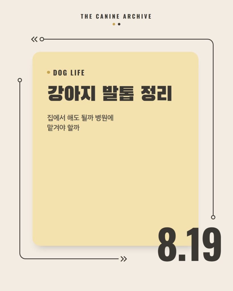 강아지 발톱 정리, 집에서 해도 될까 병원에 맡겨야 할까