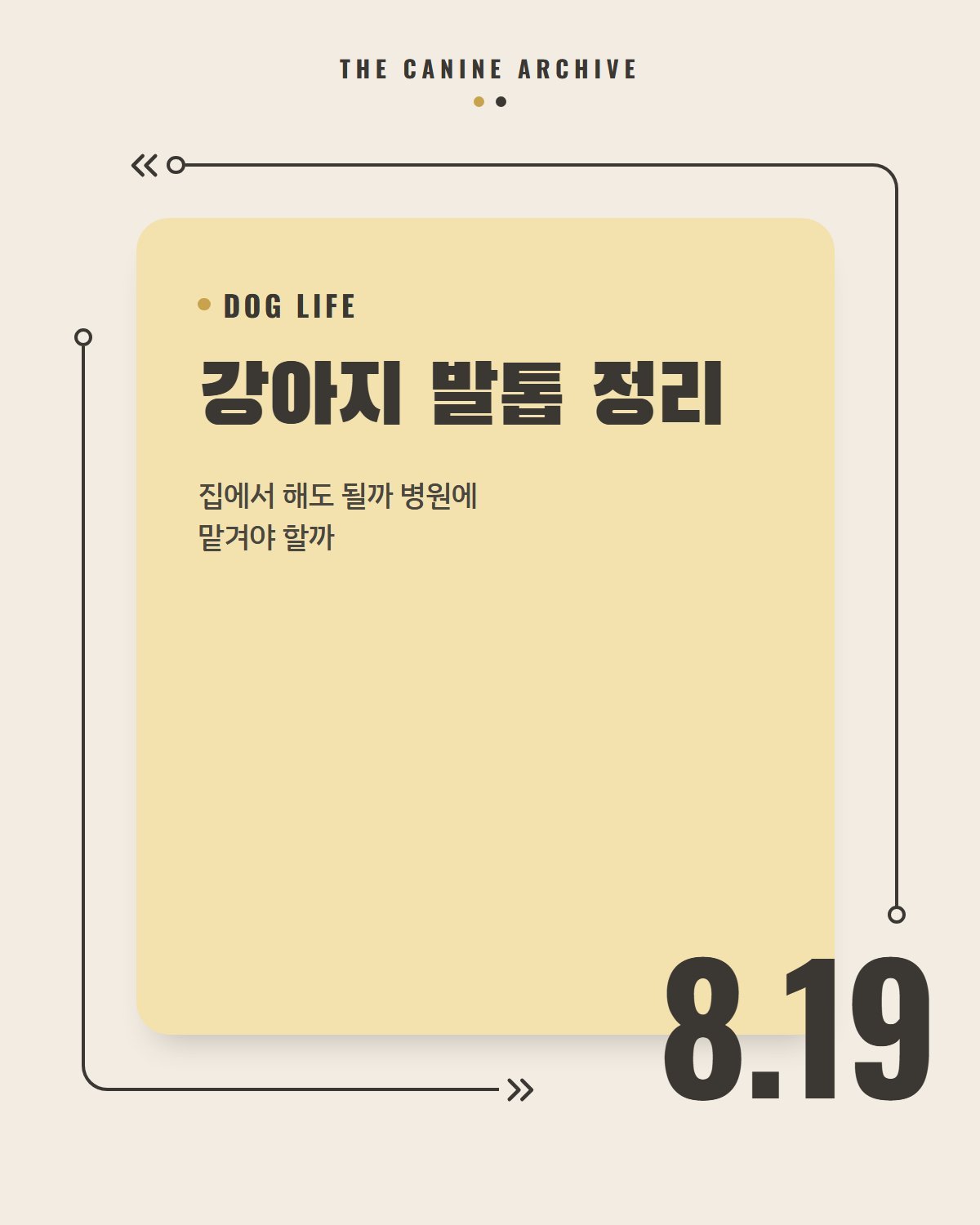 강아지 발톱 정리, 집에서 해도 될까 병원에 맡겨야 할까