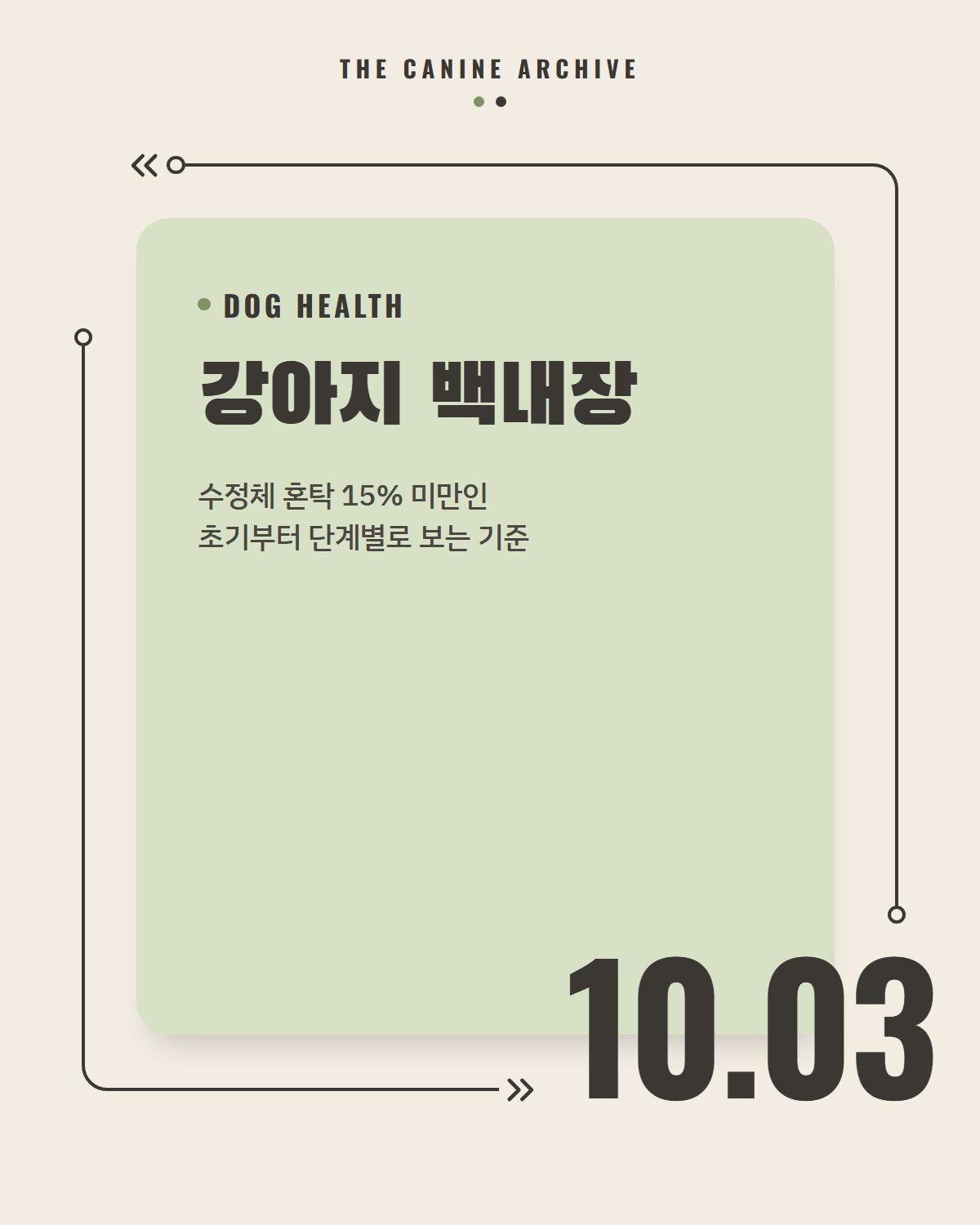 강아지 백내장, 수정체 혼탁 15% 미만인 초기부터 단계별로 보는 기준
