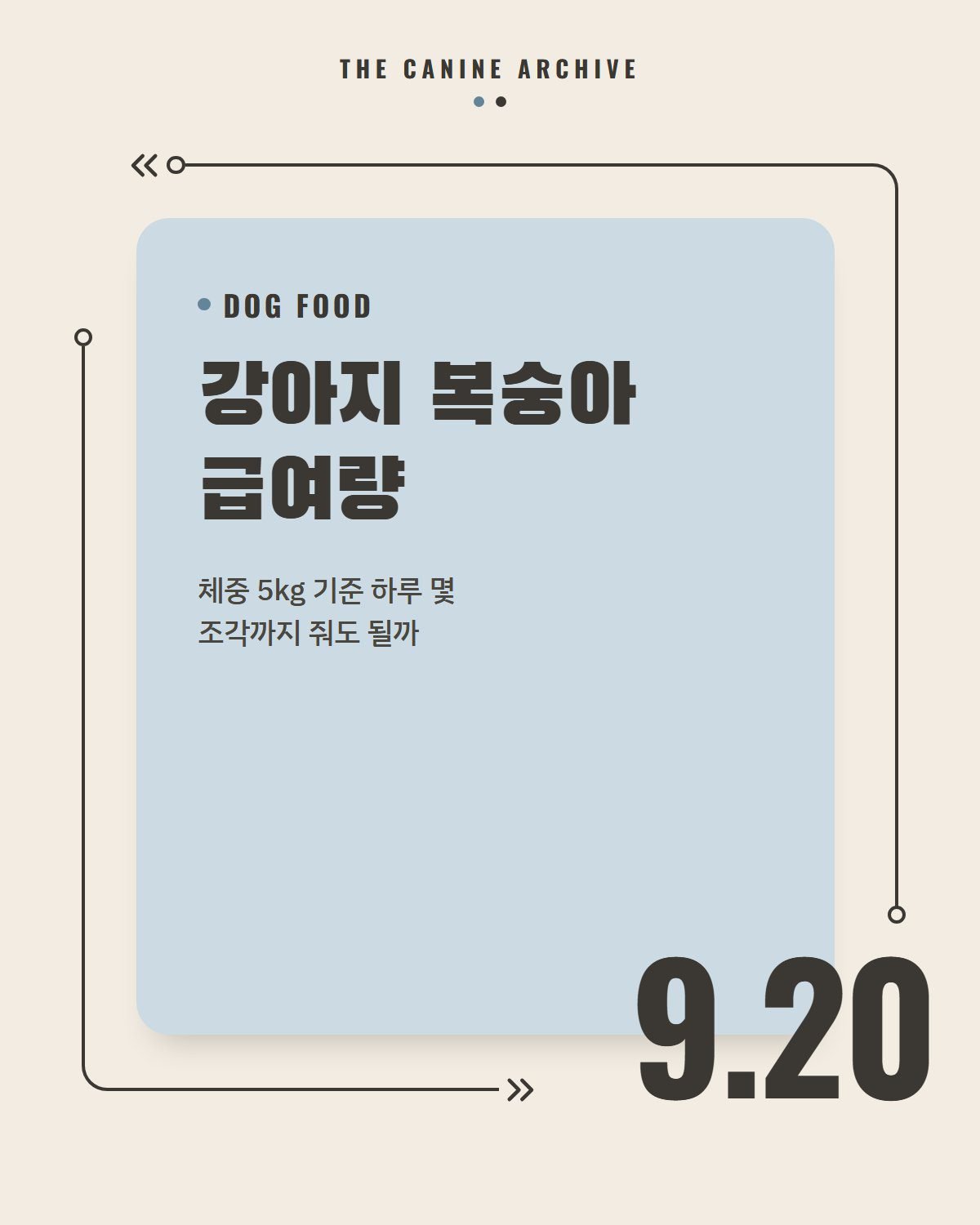 강아지 복숭아 급여량, 체중 5kg 기준 하루 몇 조각까지 줘도 될까