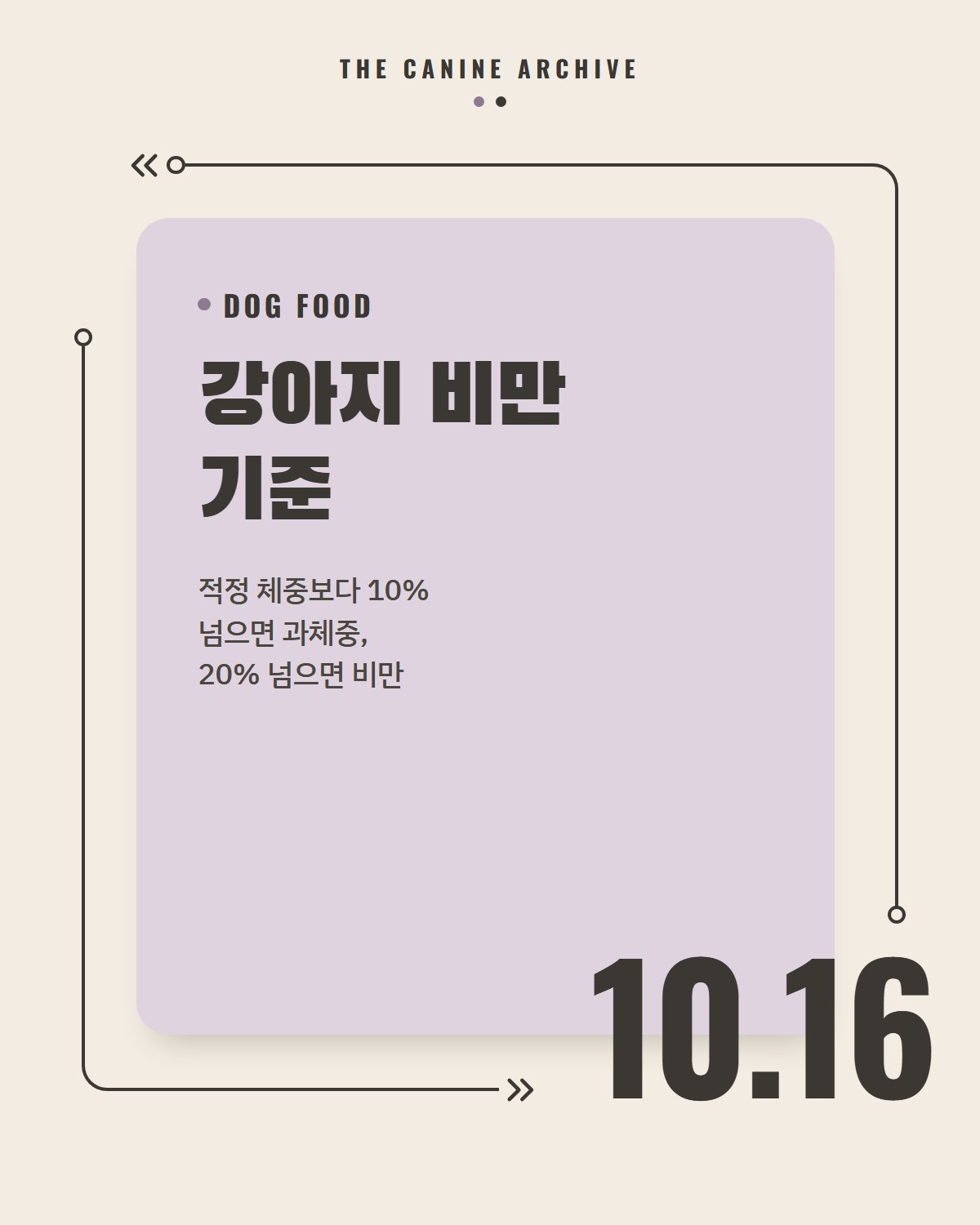 강아지 비만 기준, 적정 체중보다 10% 넘으면 과체중, 20% 넘으면 비만