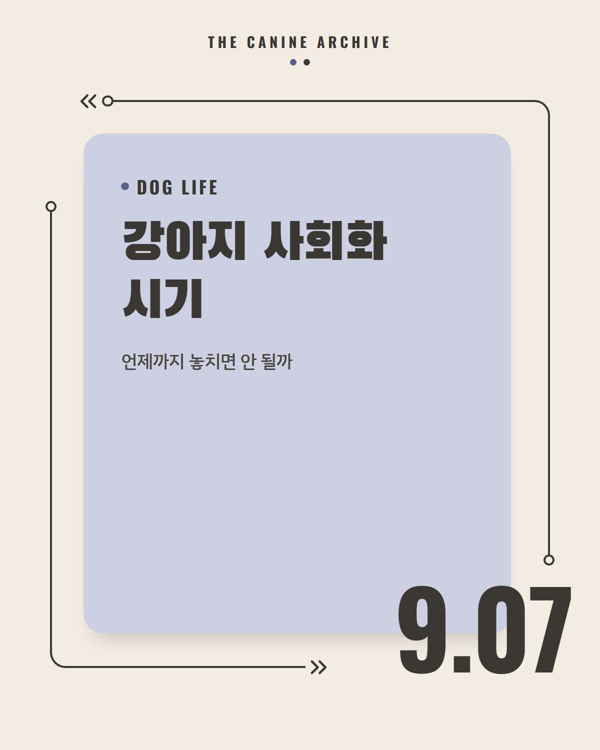 강아지 사회화 시기, 언제까지 놓치면 안 될까