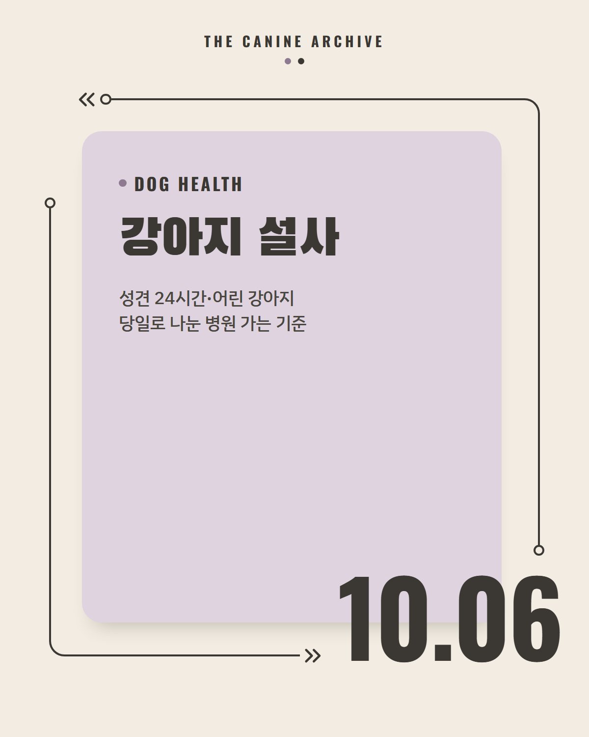강아지 설사, 성견 24시간·어린 강아지 당일로 나눈 병원 가는 기준