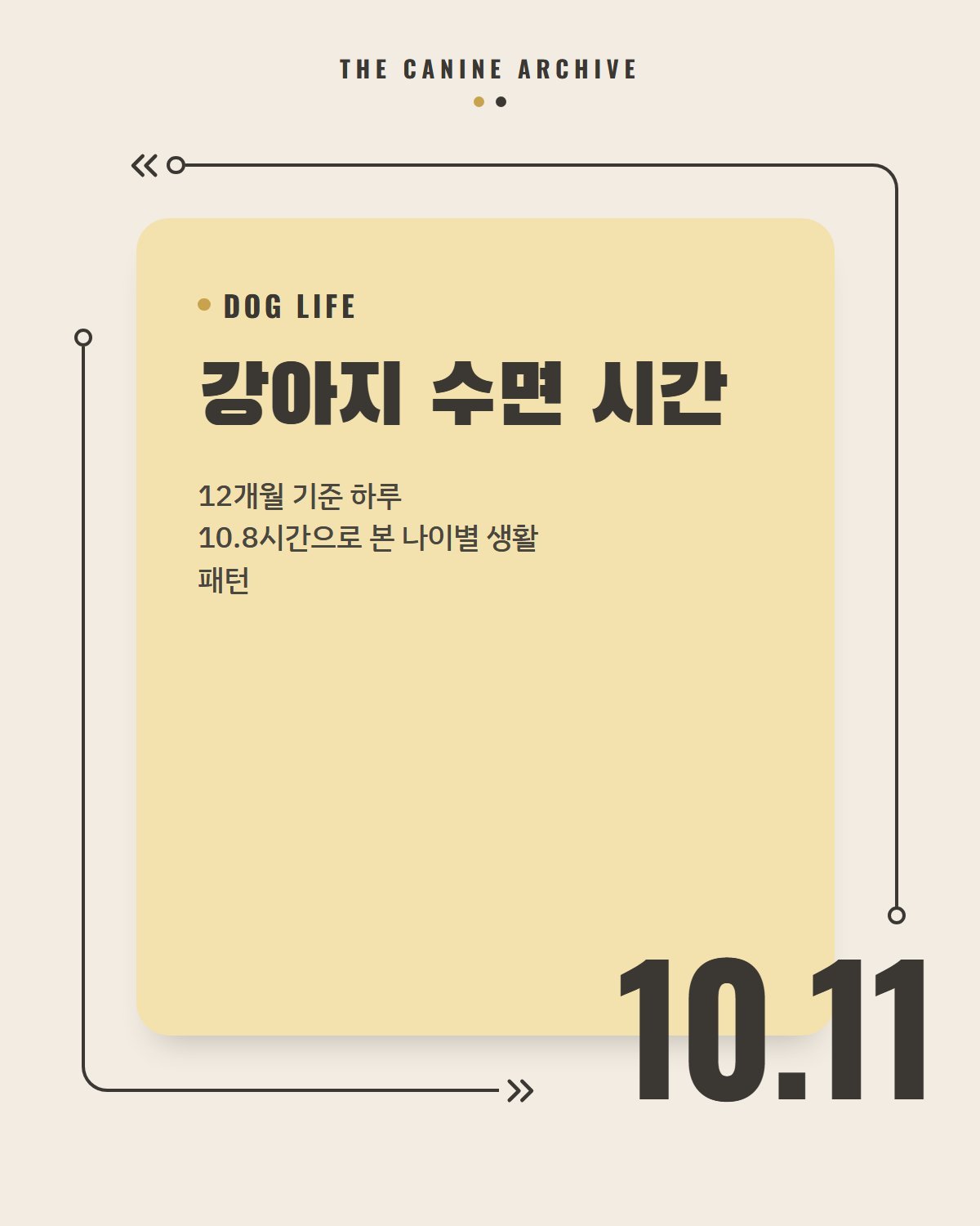 강아지 수면 시간, 12개월 기준 하루 10.8시간으로 본 나이별 생활 패턴