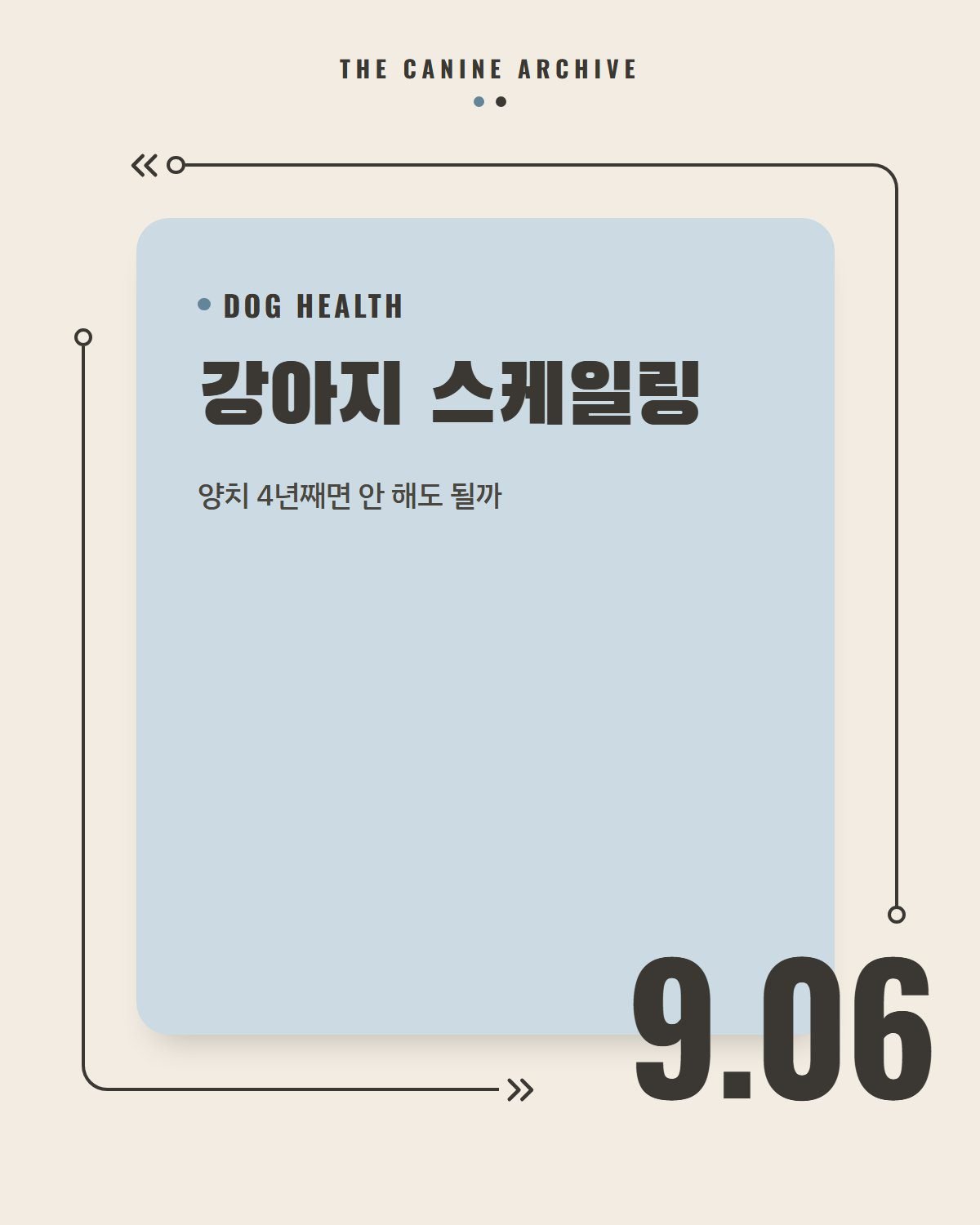 강아지 스케일링, 양치 4년째면 안 해도 될까