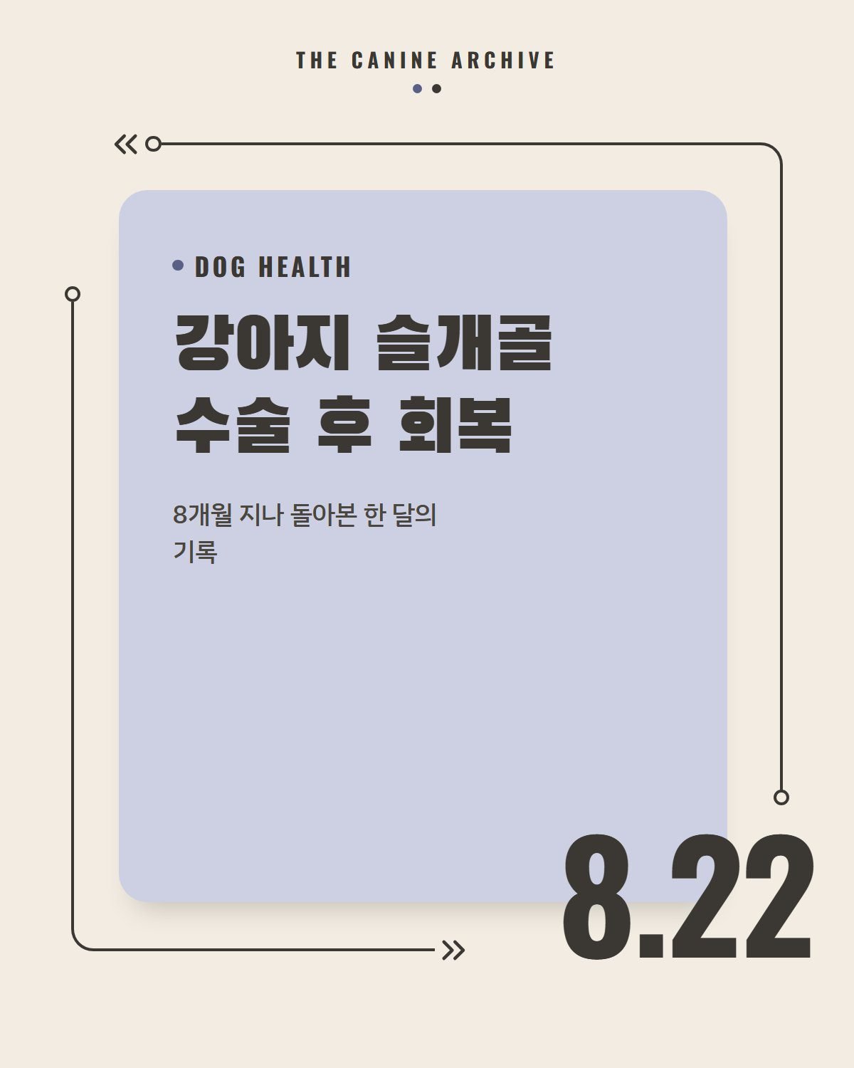 강아지 슬개골 수술 후 회복, 8개월 지나 돌아본 한 달의 기록