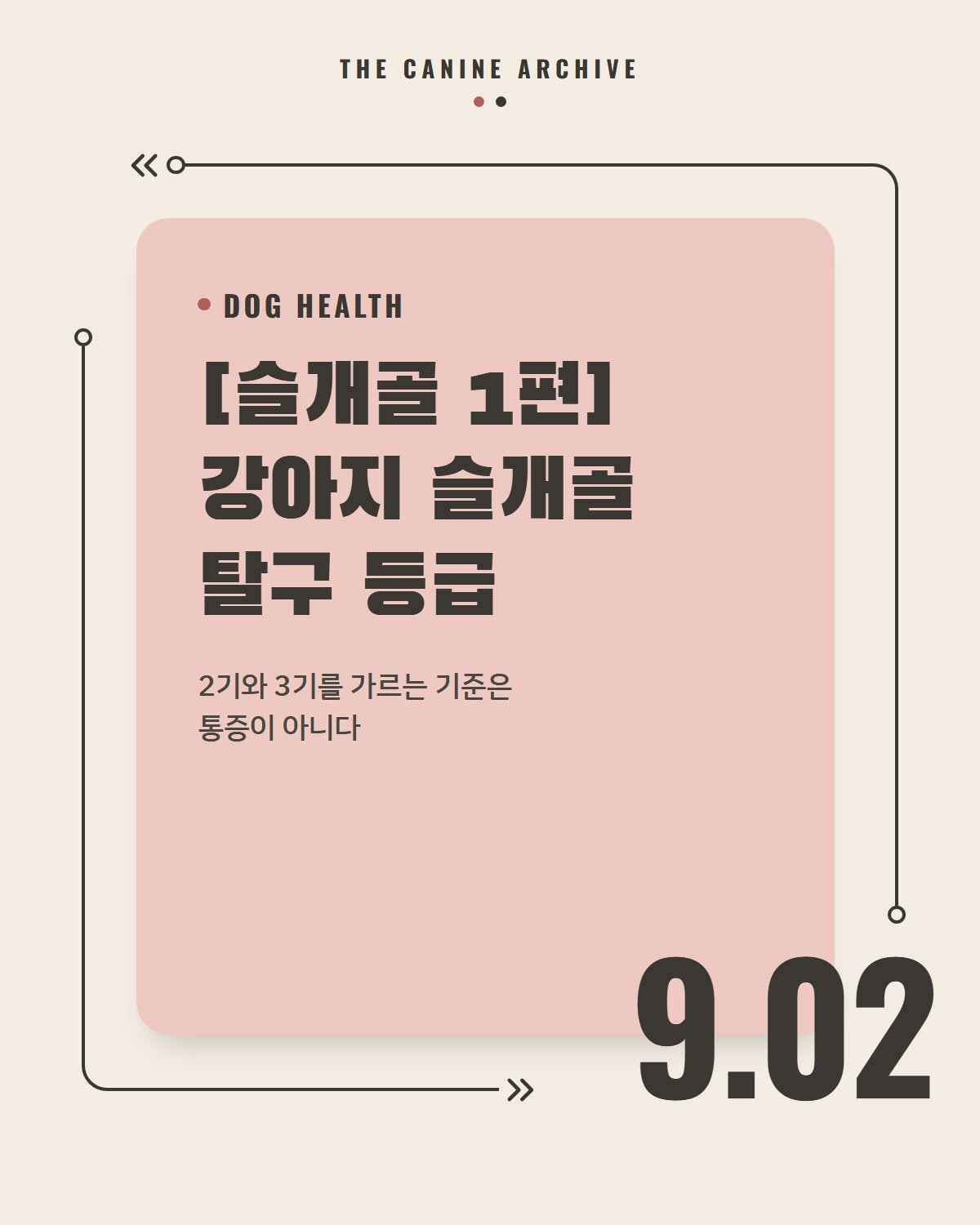 [슬개골 1편] 강아지 슬개골 탈구 등급, 2기와 3기를 가르는 기준은 통증이 아니다