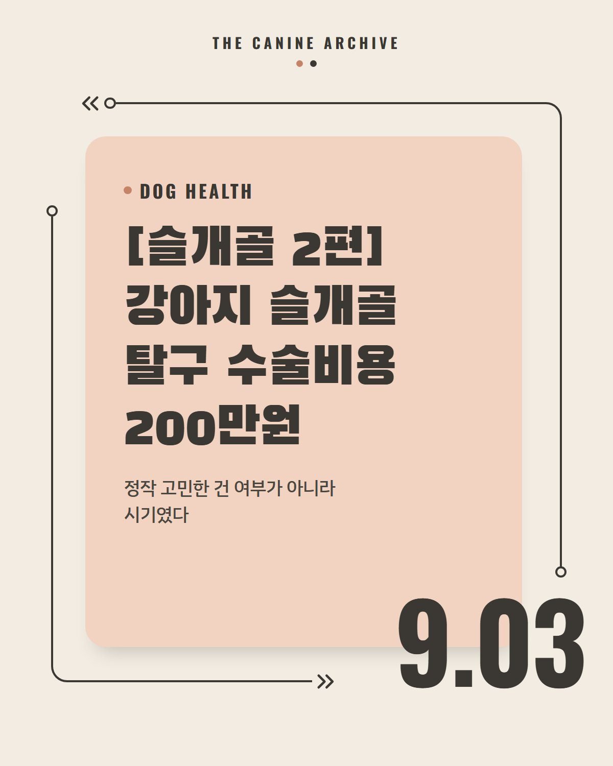 [슬개골 2편] 강아지 슬개골 탈구 수술비용 200만원, 정작 고민한 건 여부가 아니라 시기였다