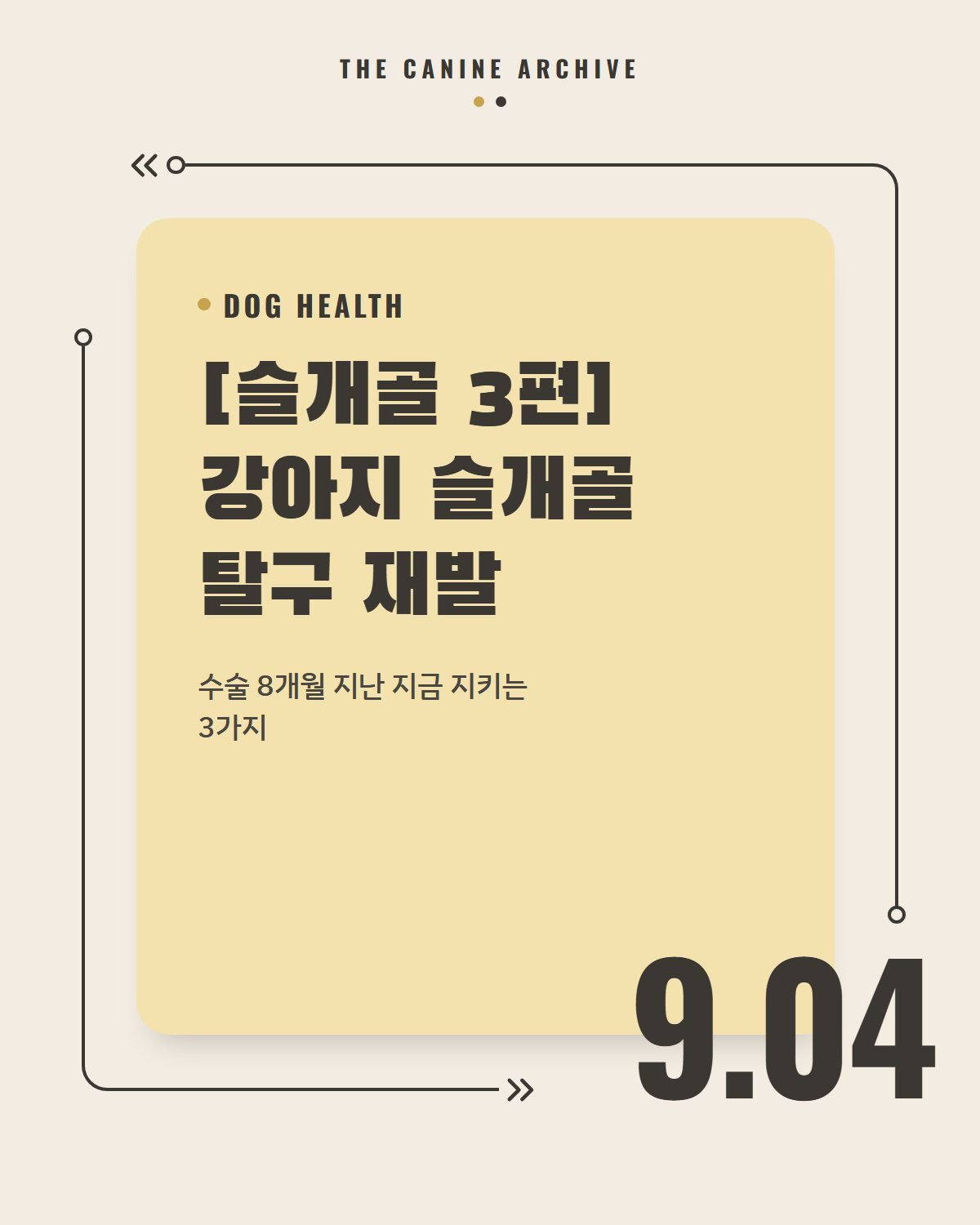 [슬개골 3편] 강아지 슬개골 탈구 재발, 수술 8개월 지난 지금 지키는 3가지