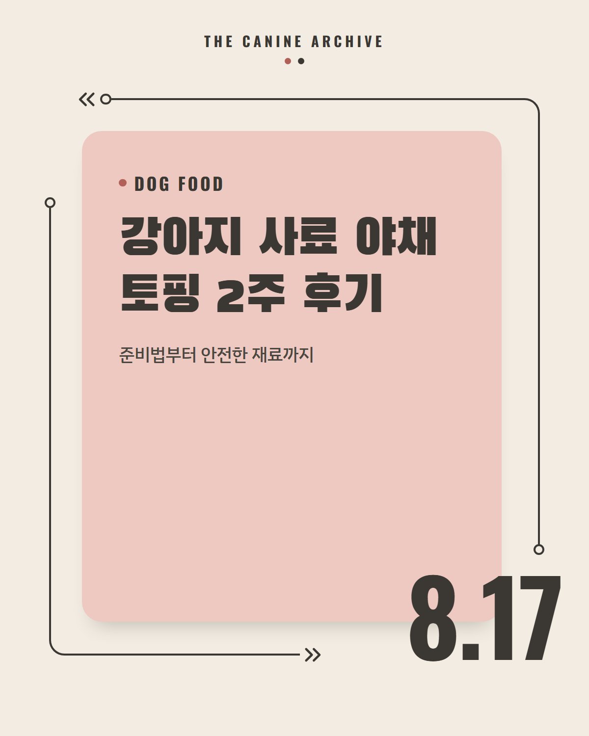 강아지 사료 야채 토핑 2주 후기, 준비법부터 안전한 재료까지