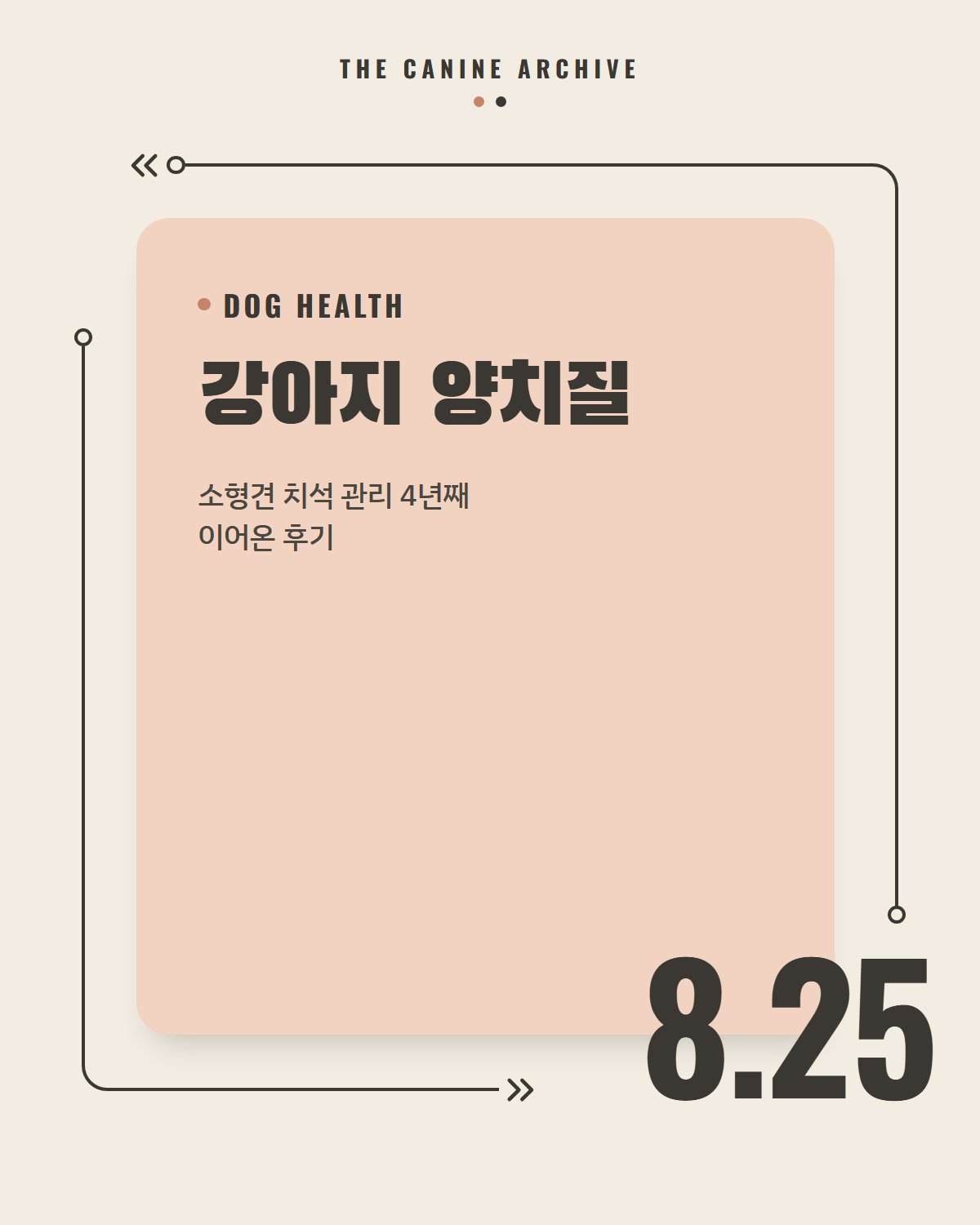 강아지 양치질, 소형견 치석 관리 4년째 이어온 후기