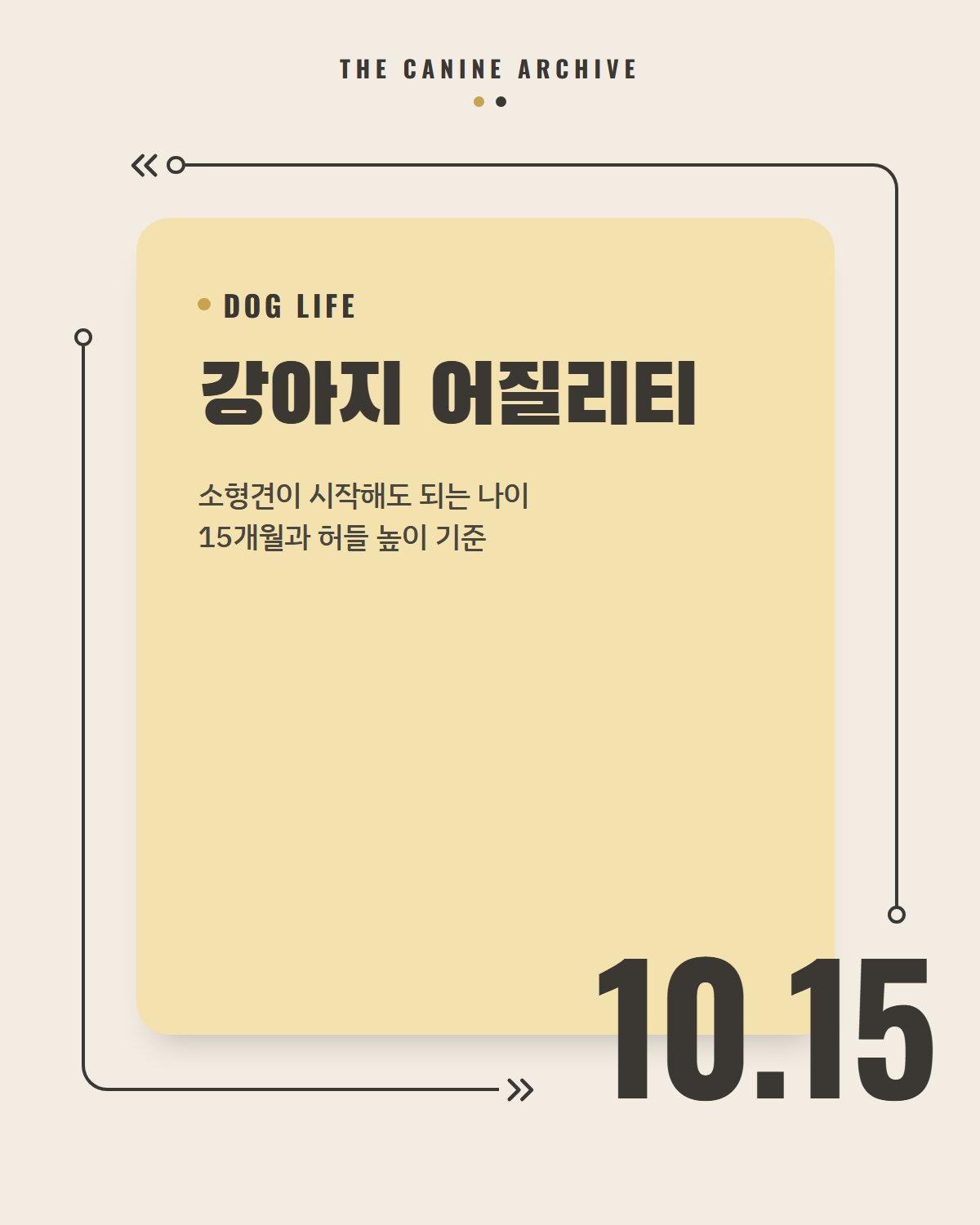 강아지 어질리티, 소형견이 시작해도 되는 나이 15개월과 허들 높이 기준