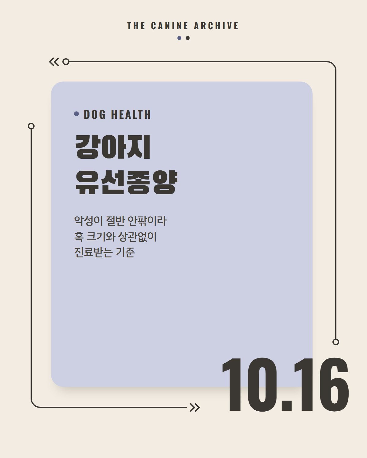 강아지 유선종양, 악성이 절반 안팎이라 혹 크기와 상관없이 진료받는 기준
