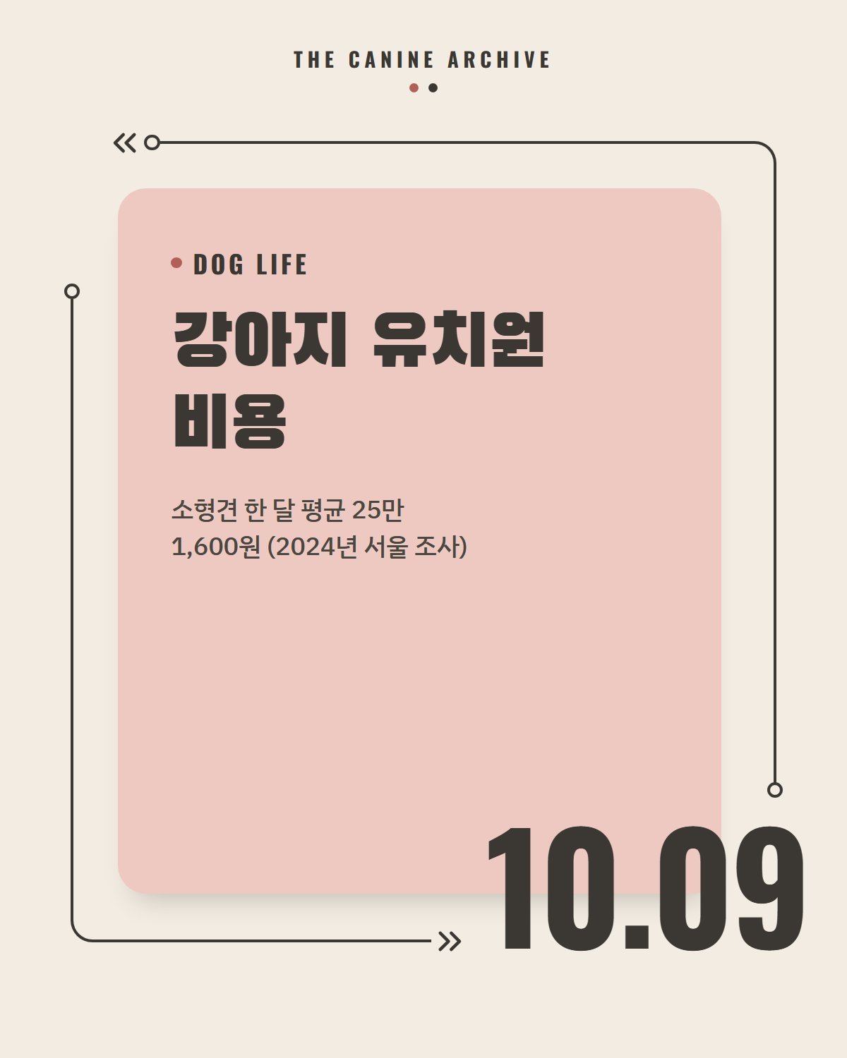 강아지 유치원 비용, 소형견 한 달 평균 25만 1,600원 (2024년 서울 조사)