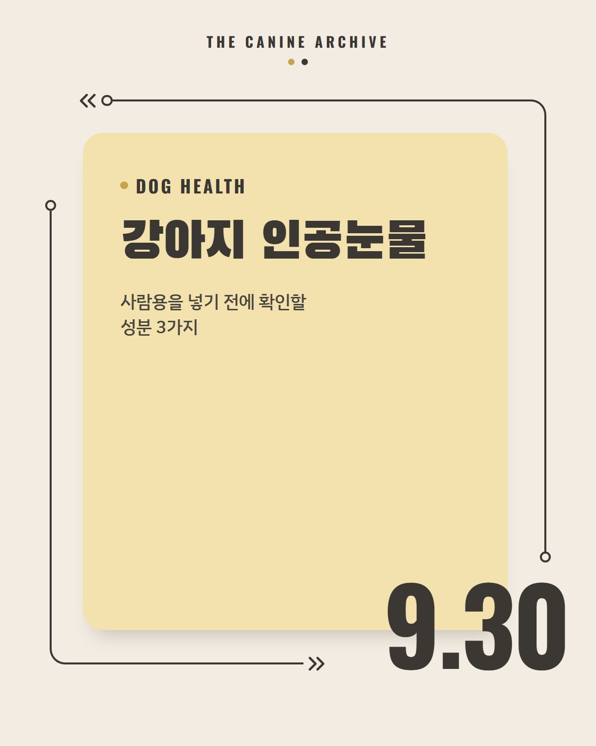 강아지 인공눈물, 사람용을 넣기 전에 확인할 성분 3가지