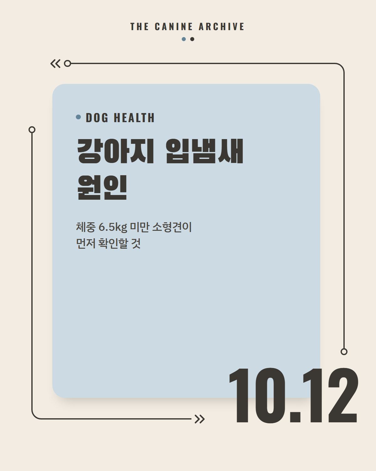강아지 입냄새 원인, 체중 6.5kg 미만 소형견이 먼저 확인할 것