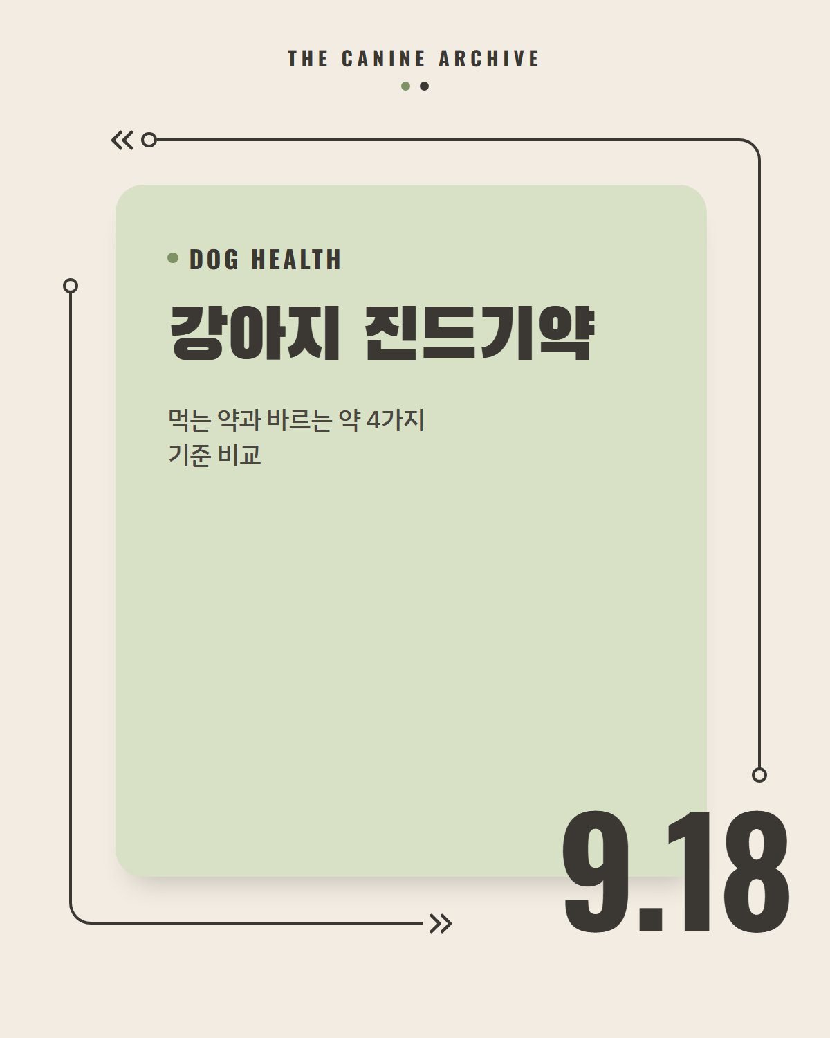 강아지 진드기약, 먹는 약과 바르는 약 4가지 기준 비교