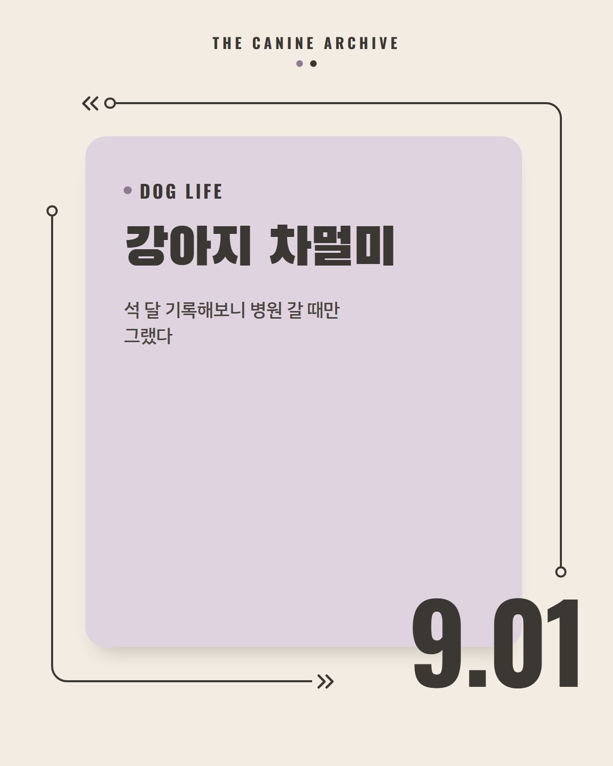 강아지 차멀미, 석 달 기록해보니 병원 갈 때만 그랬다