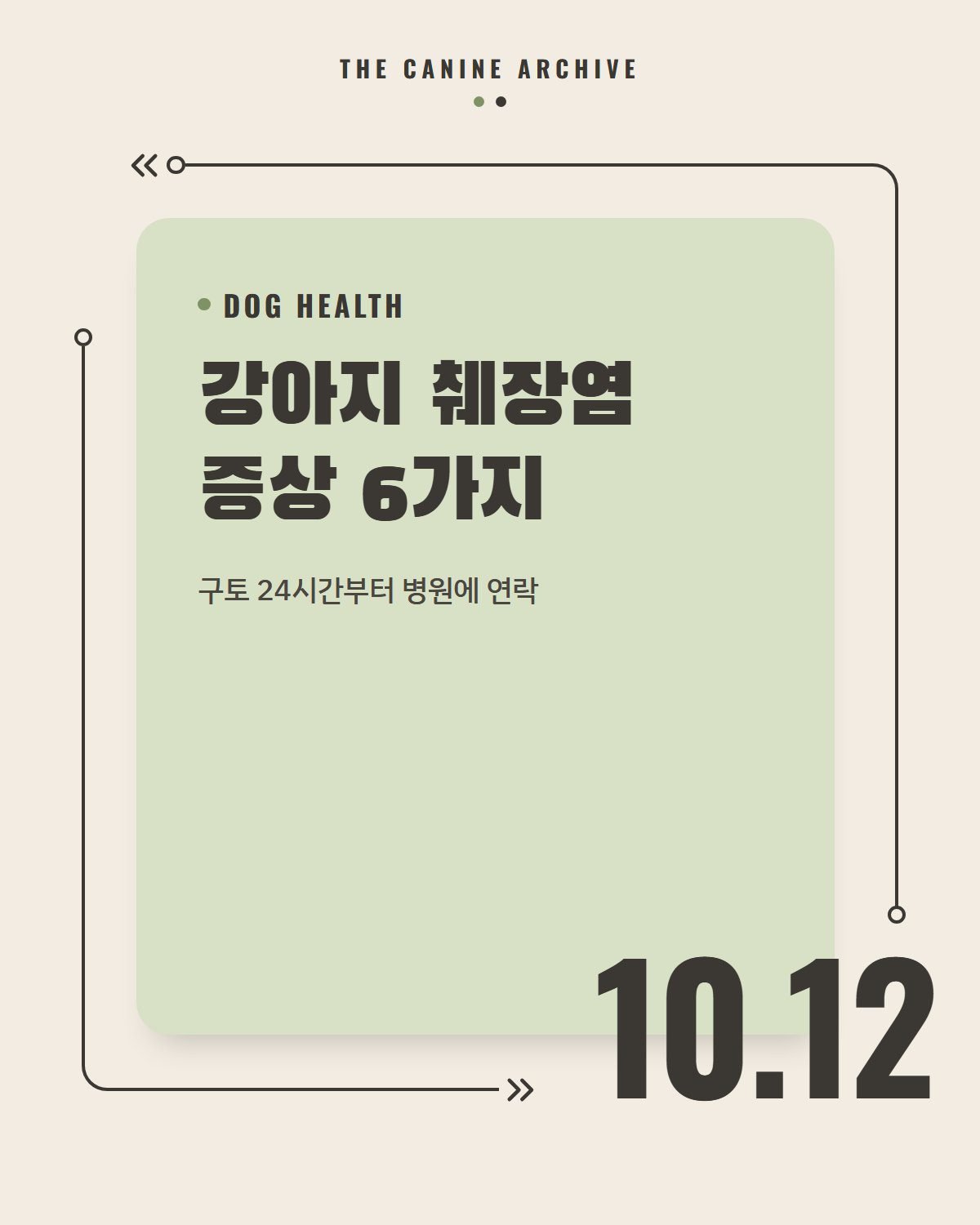 강아지 췌장염 증상 6가지, 구토 24시간부터 병원에 연락