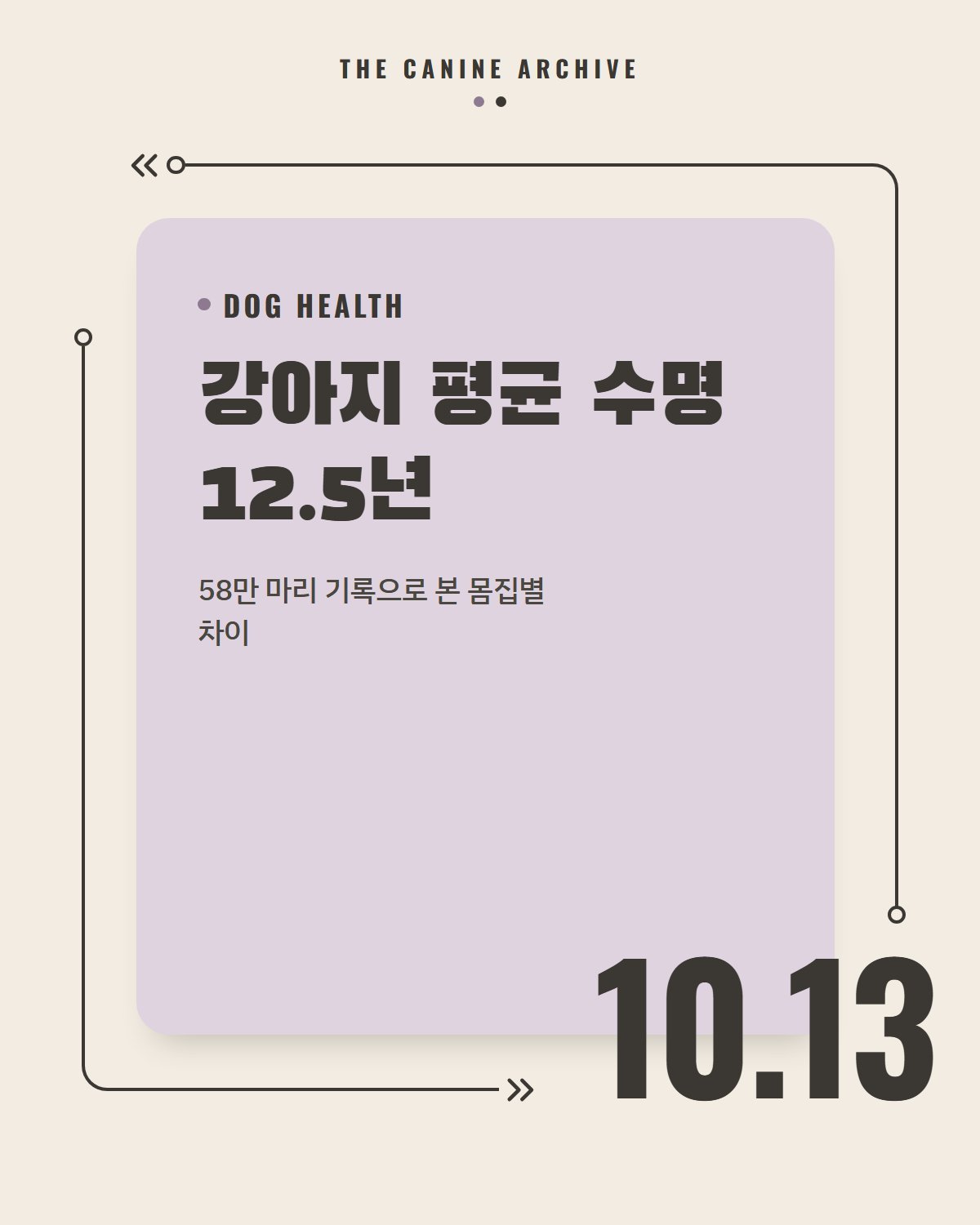 강아지 평균 수명 12.5년, 58만 마리 기록으로 본 몸집별 차이
