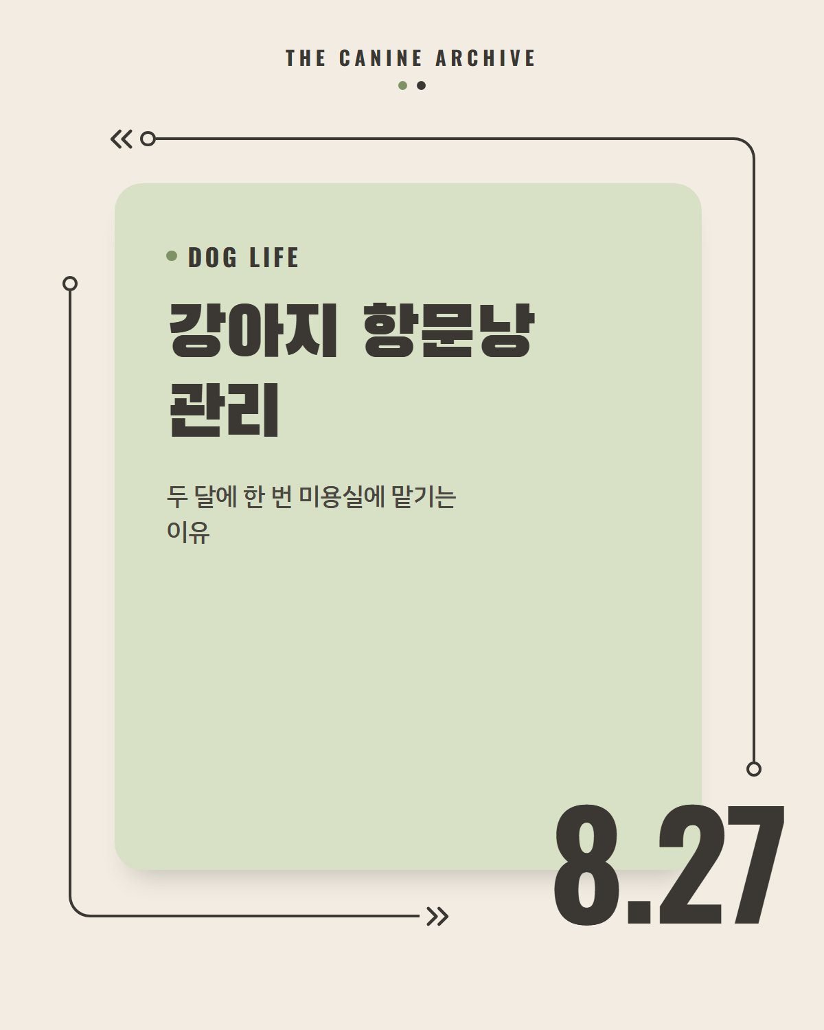 강아지 항문낭 관리, 두 달에 한 번 미용실에 맡기는 이유