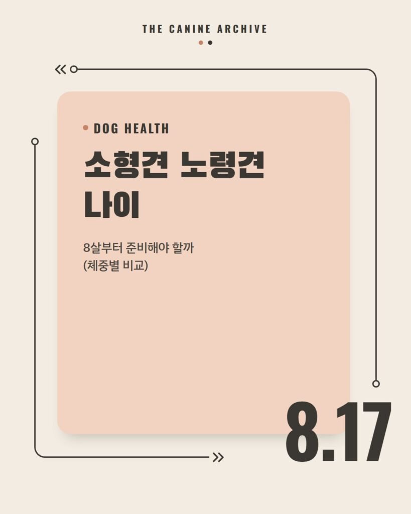소형견 노령견 나이, 8살부터 준비해야 할까 (체중별 비교)